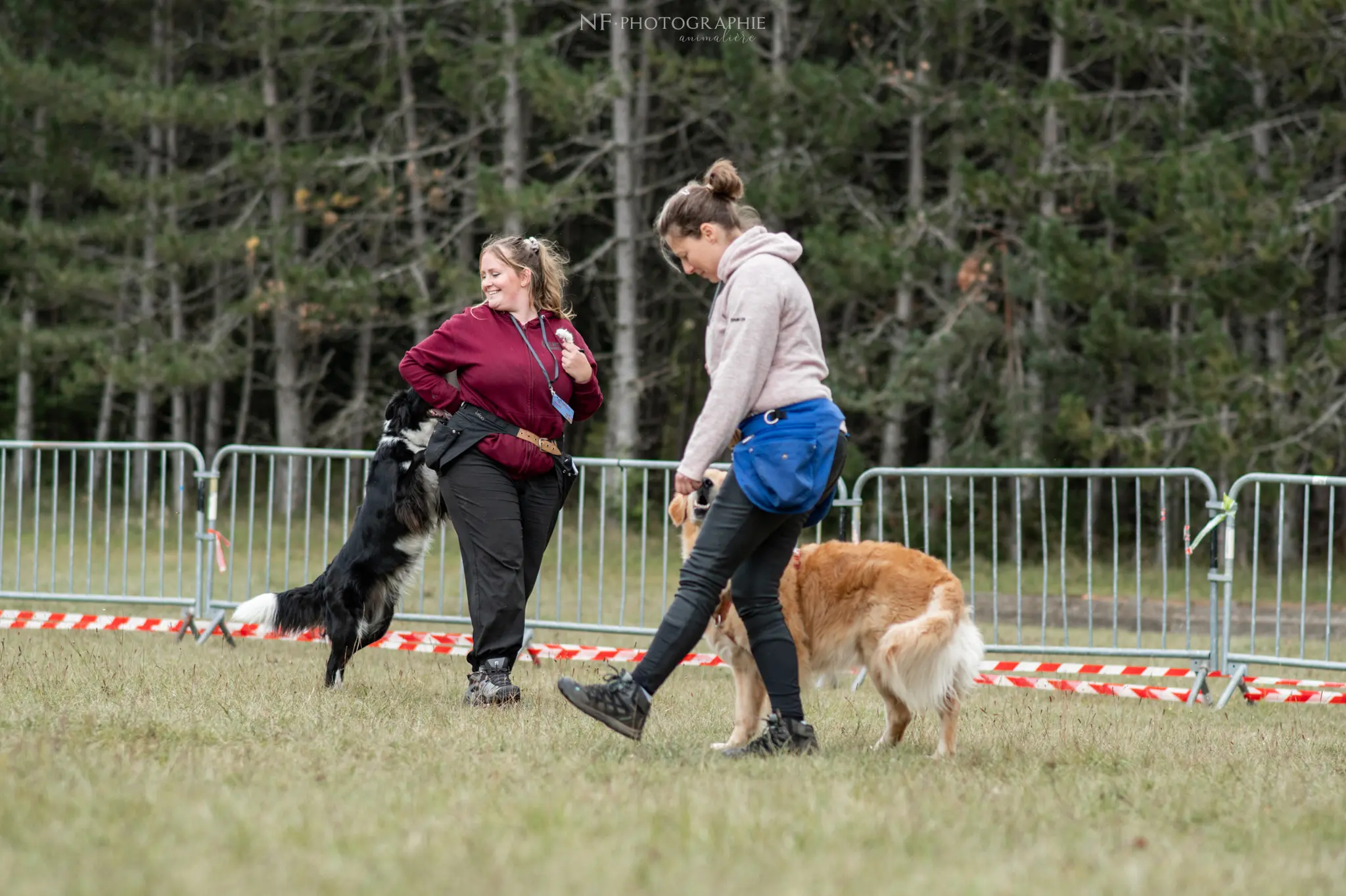 Dog Dancing - Édition 2024 - Canifun