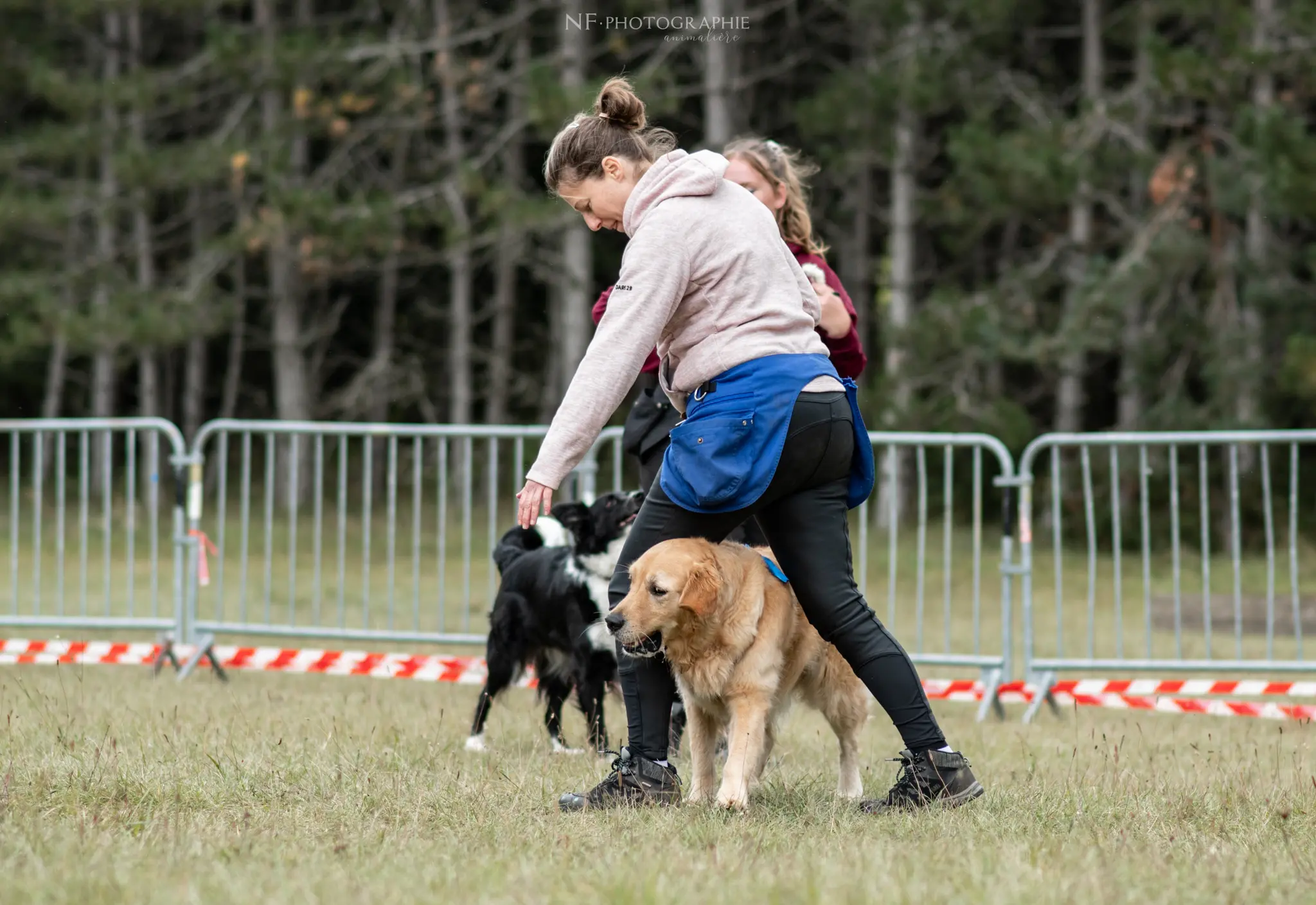 Dog Dancing - Édition 2024 - Canifun