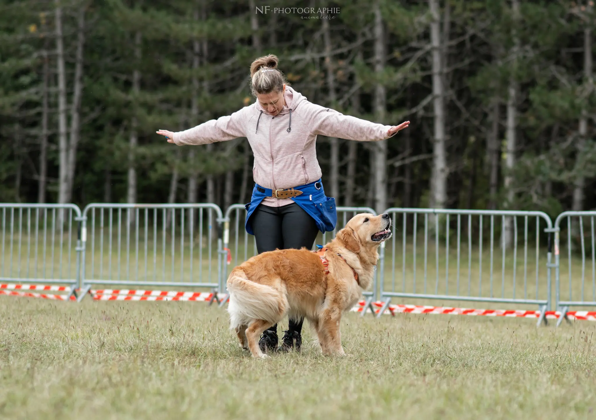 Dog Dancing - Édition 2024 - Canifun