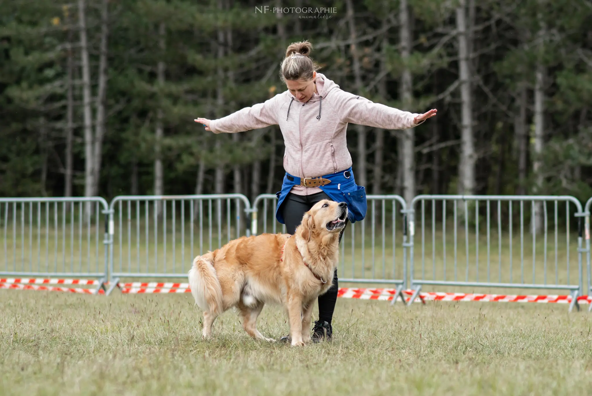 Dog Dancing - Édition 2024 - Canifun