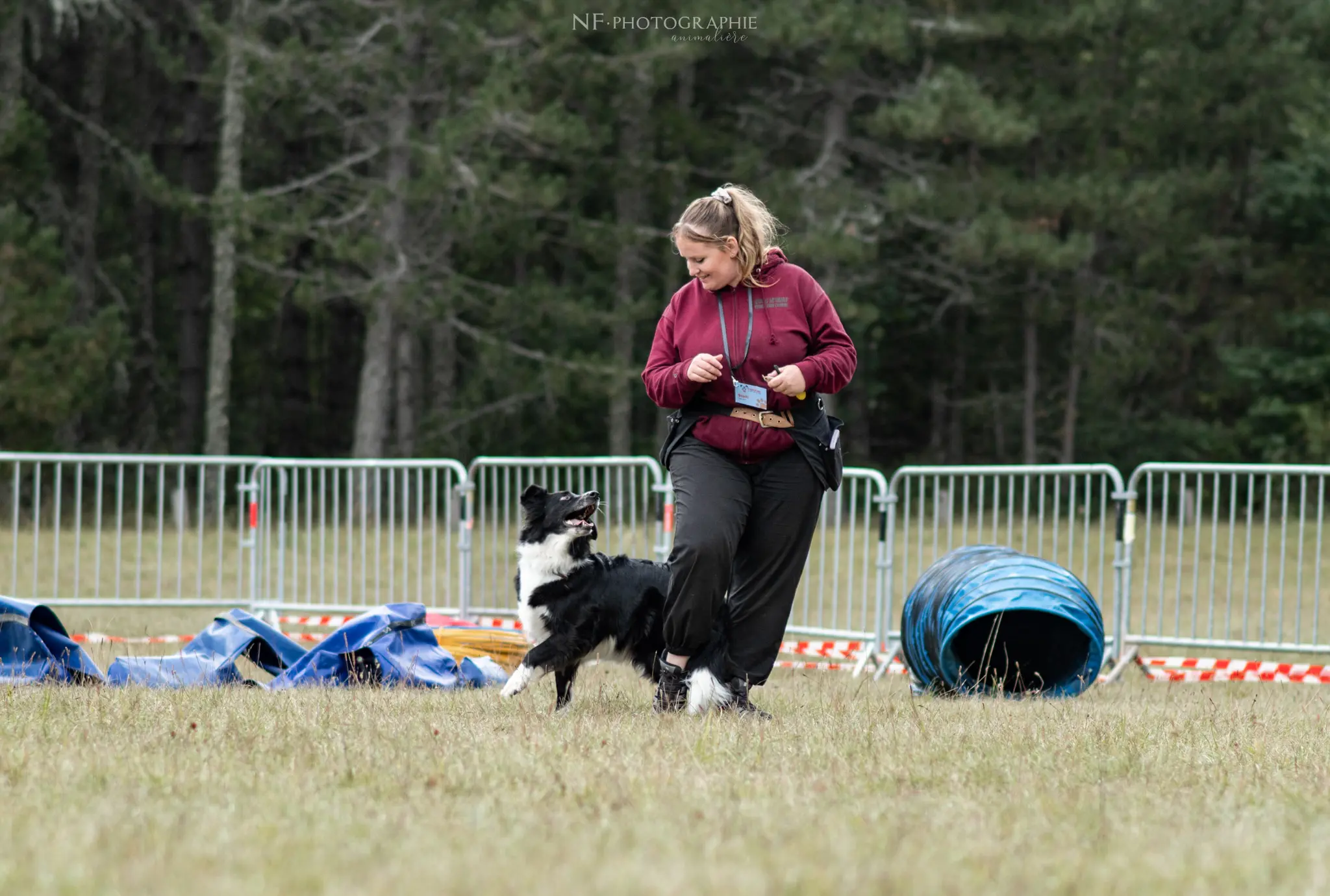 Dog Dancing - Édition 2024 - Canifun