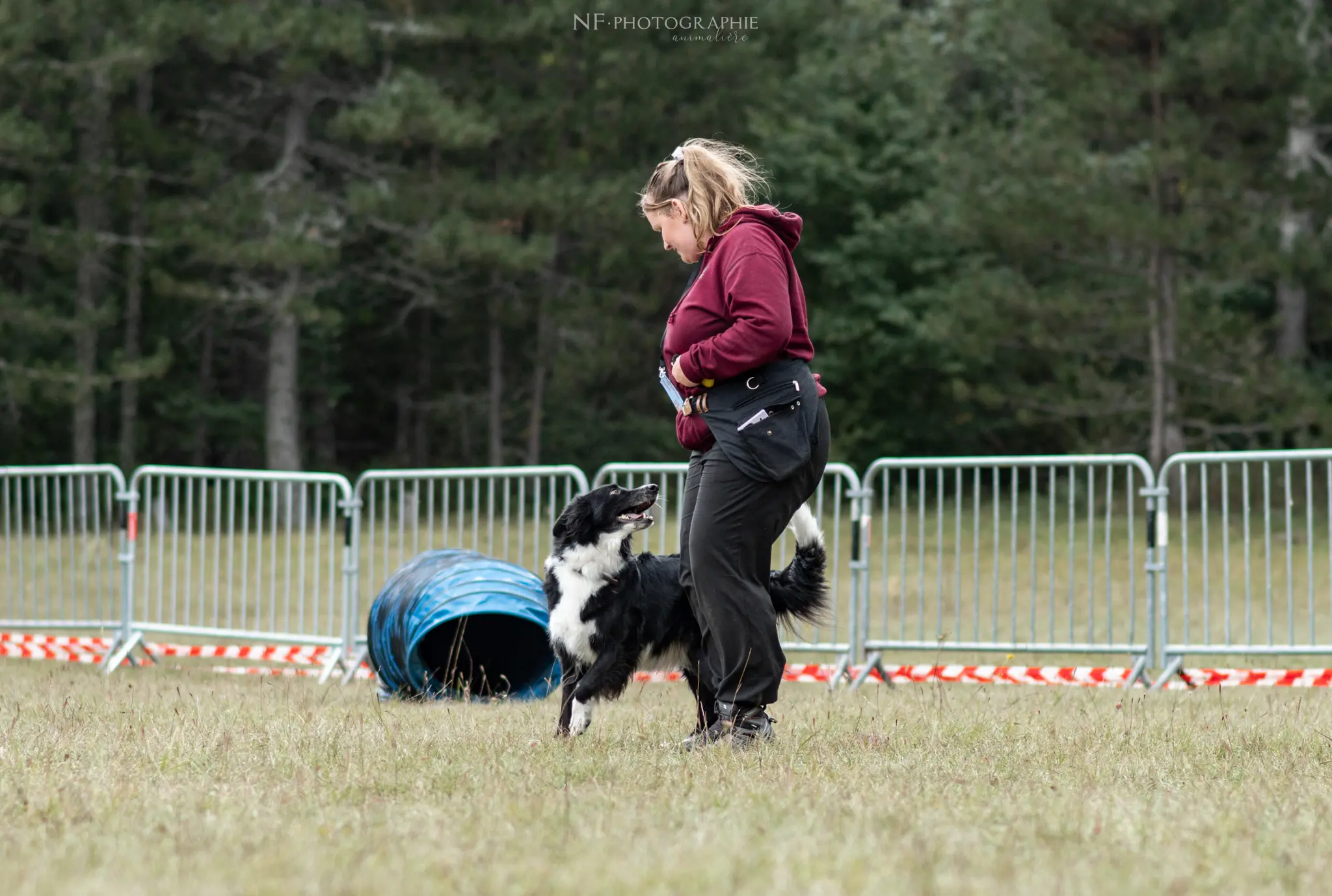 Dog Dancing - Édition 2024 - Canifun