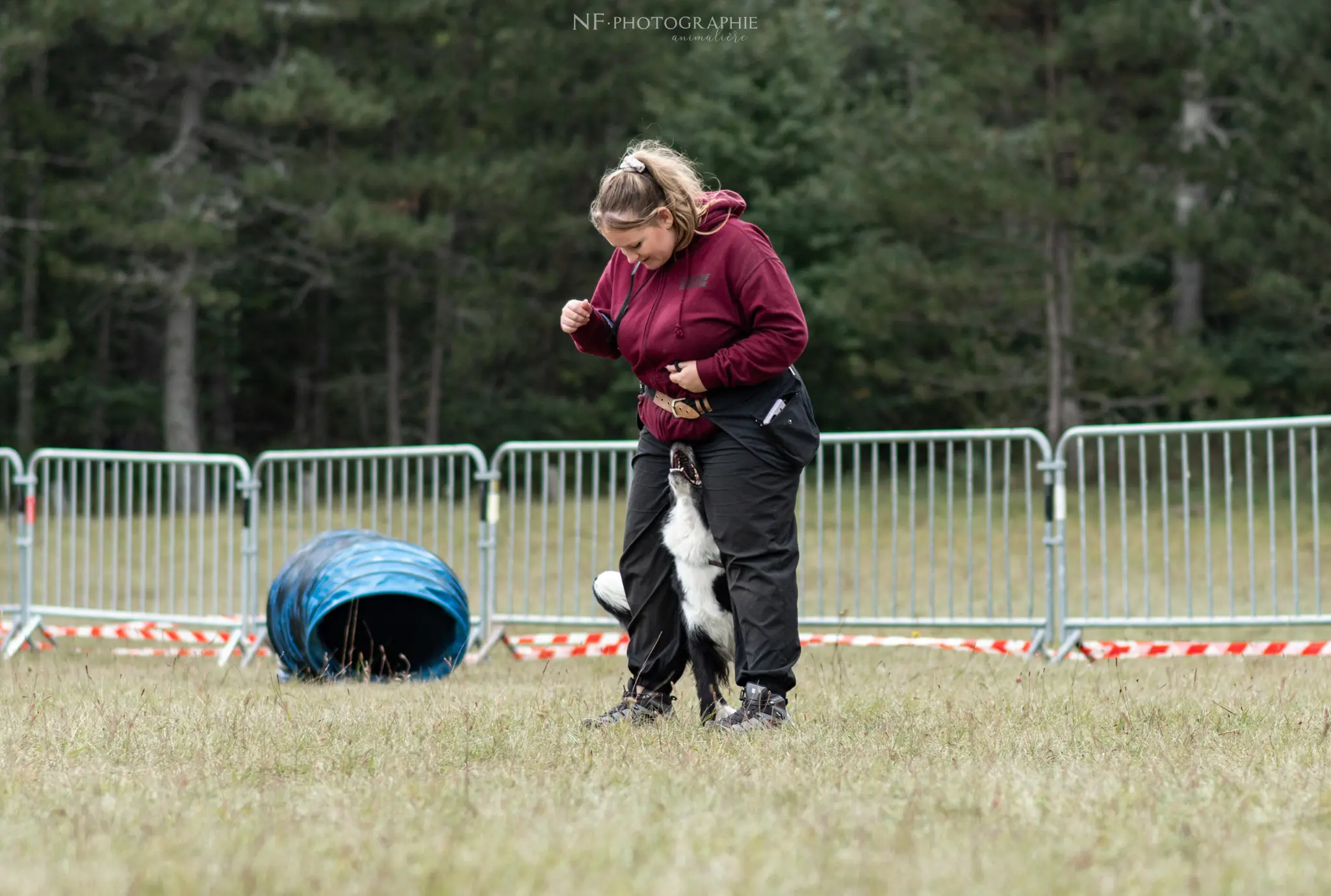 Dog Dancing - Édition 2024 - Canifun