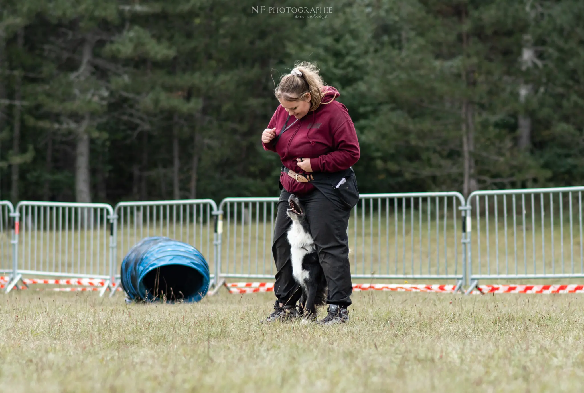 Dog Dancing - Édition 2024 - Canifun