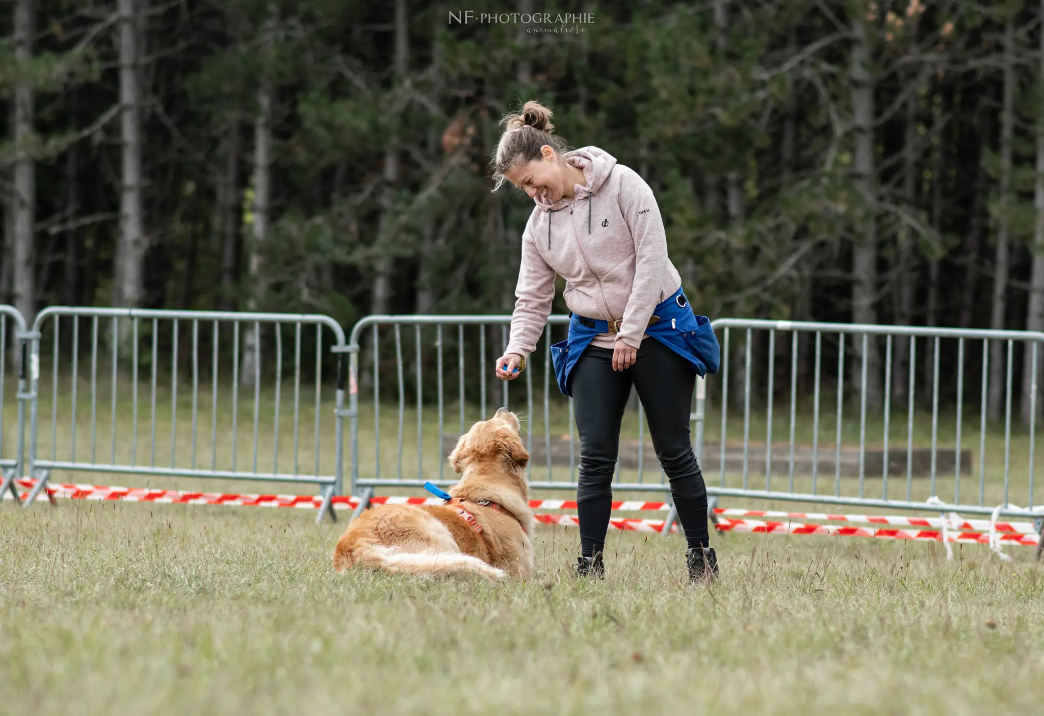 Dog Dancing - Édition 2024 - Canifun