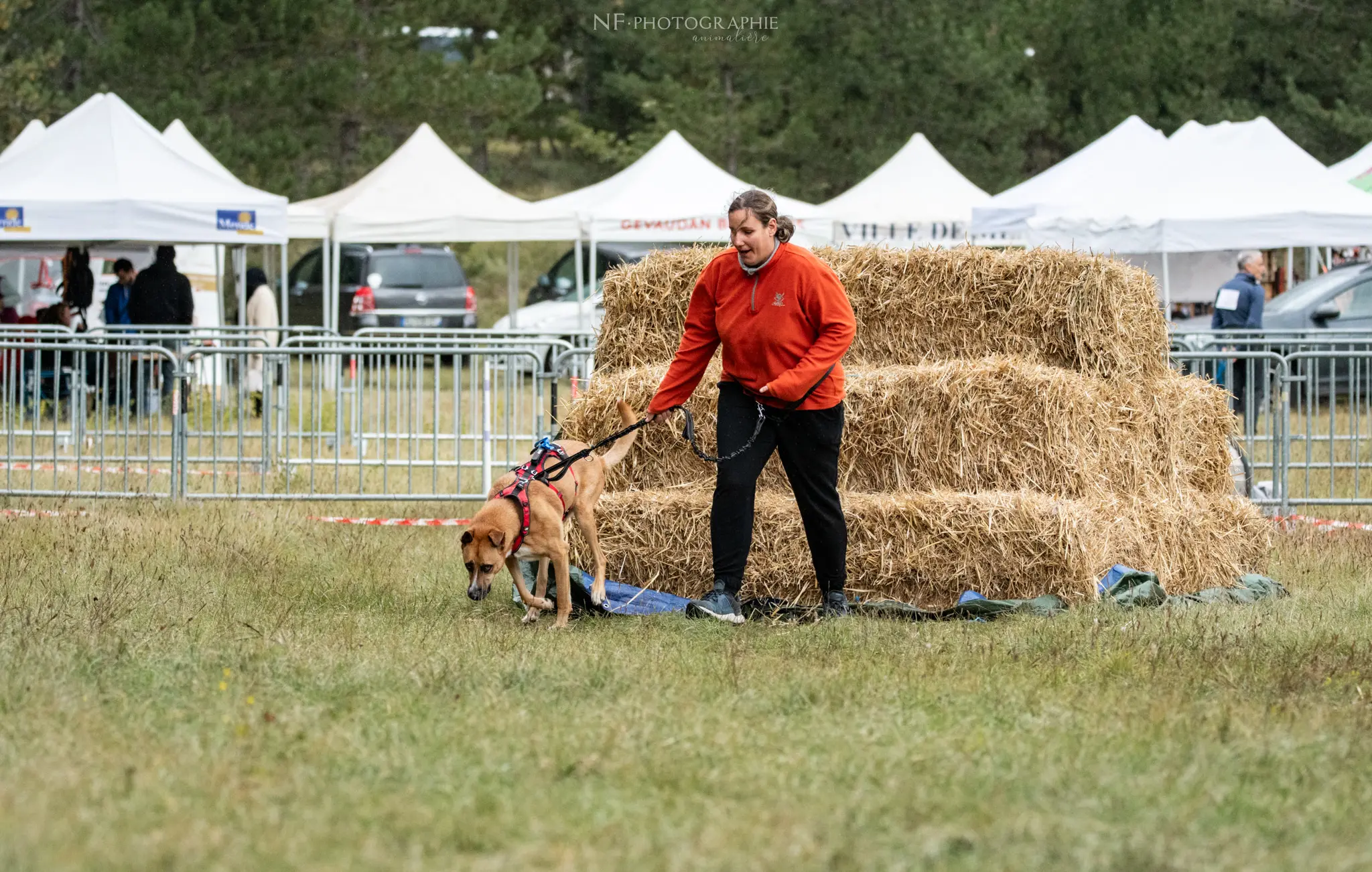 Cani-Parcours - Édition 2024 - Canifun