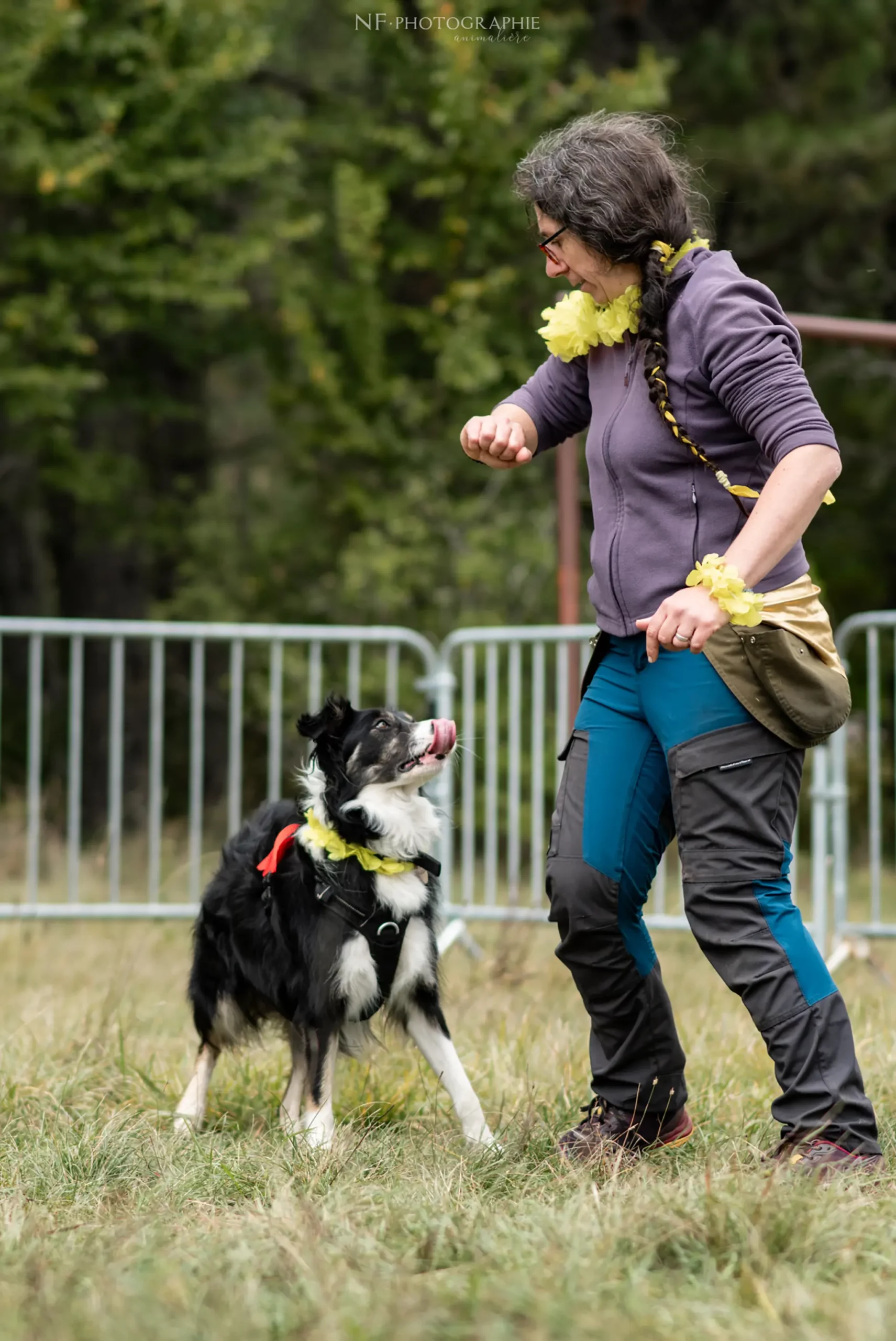 Dog Dancing - Édition 2024 - Canifun