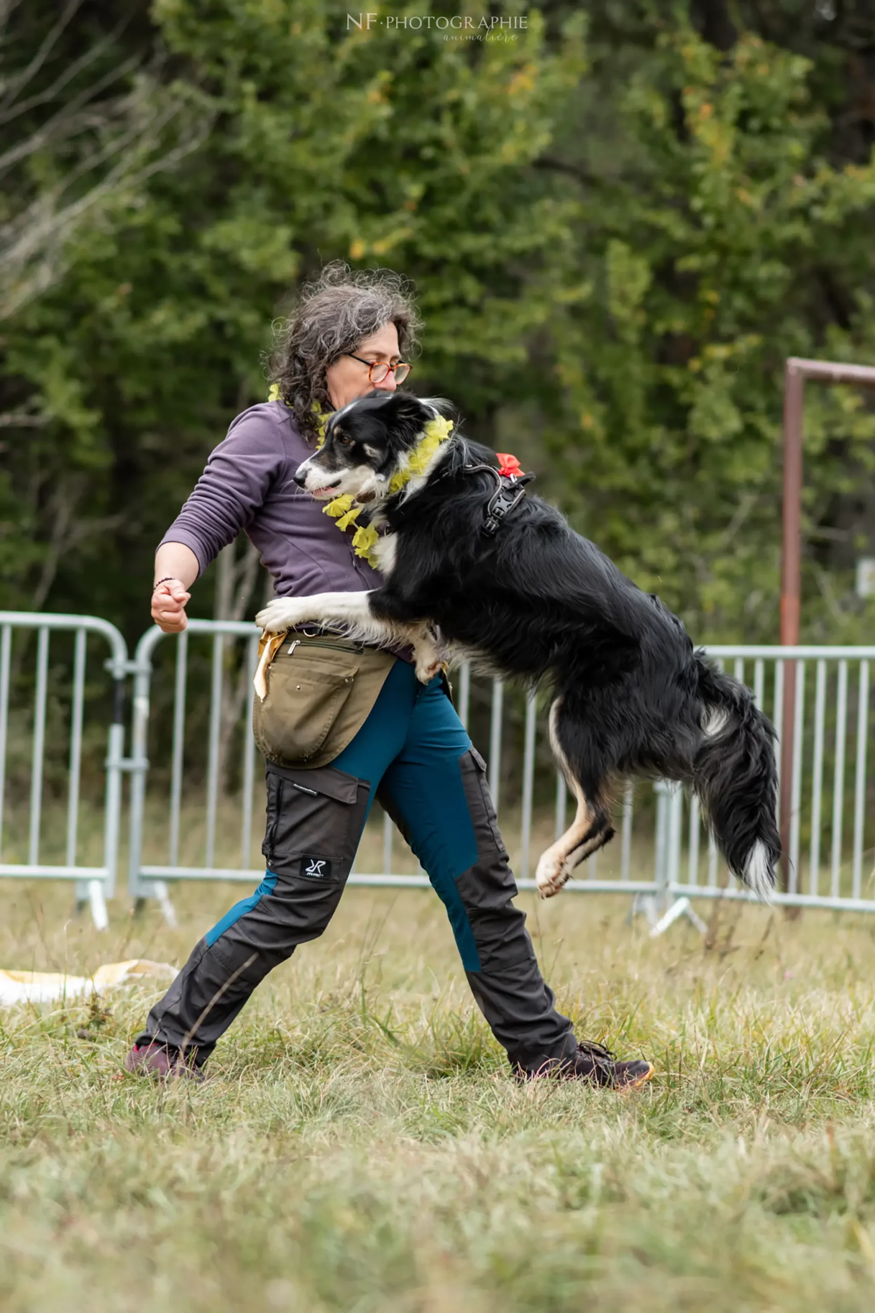 Dog Dancing - Édition 2024 - Canifun