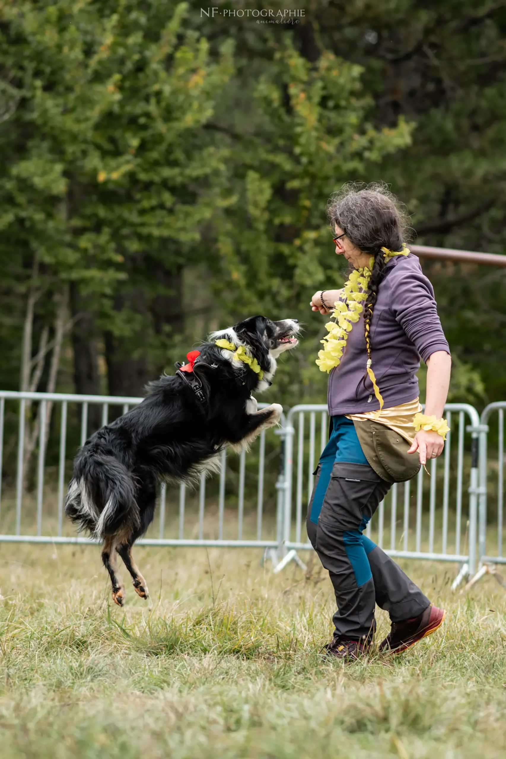 Dog Dancing - Édition 2024 - Canifun