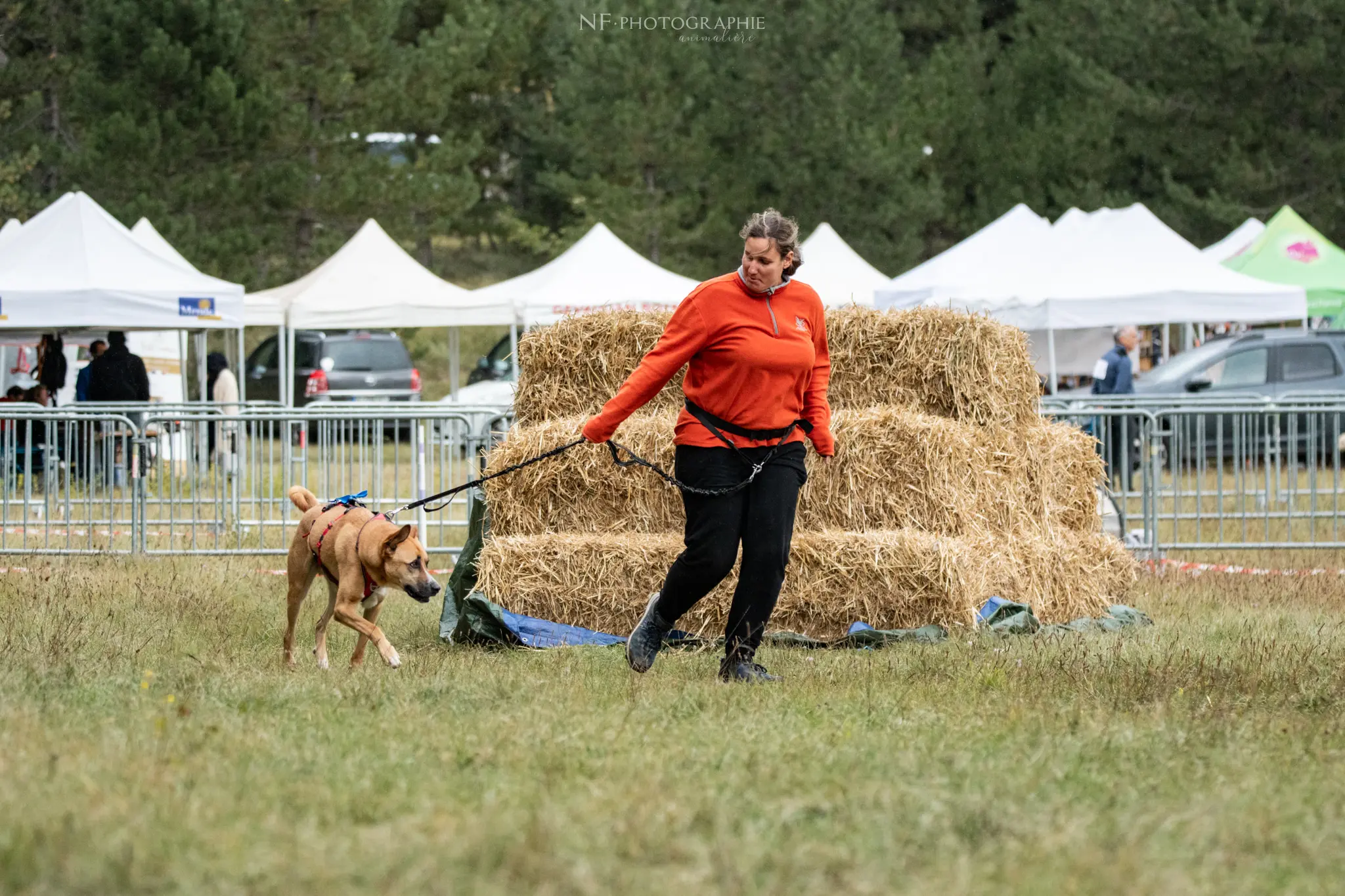 Cani-Parcours - Édition 2024 - Canifun