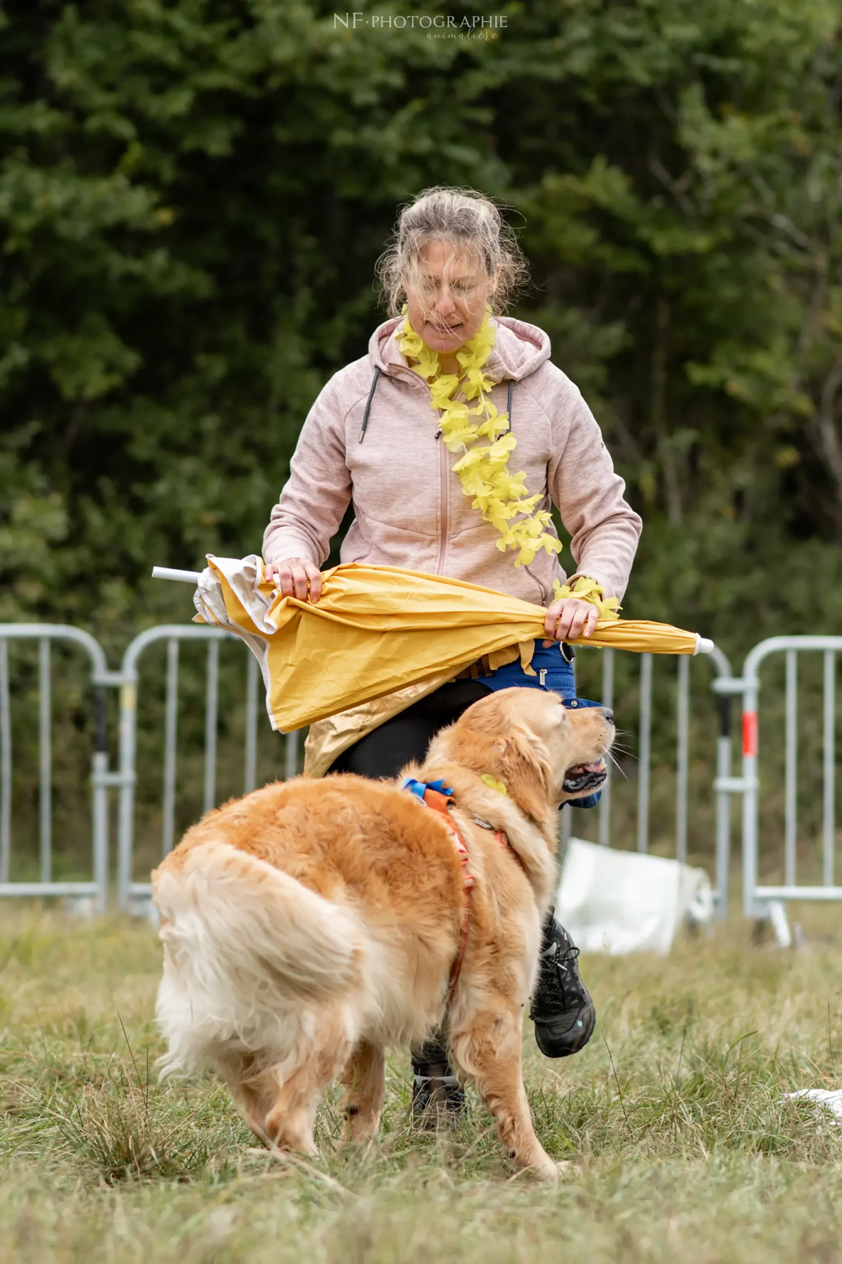 Dog Dancing - Édition 2024 - Canifun