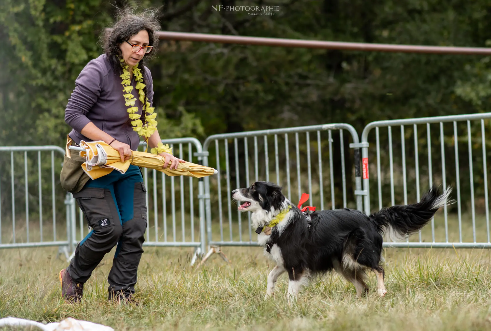 Dog Dancing - Édition 2024 - Canifun