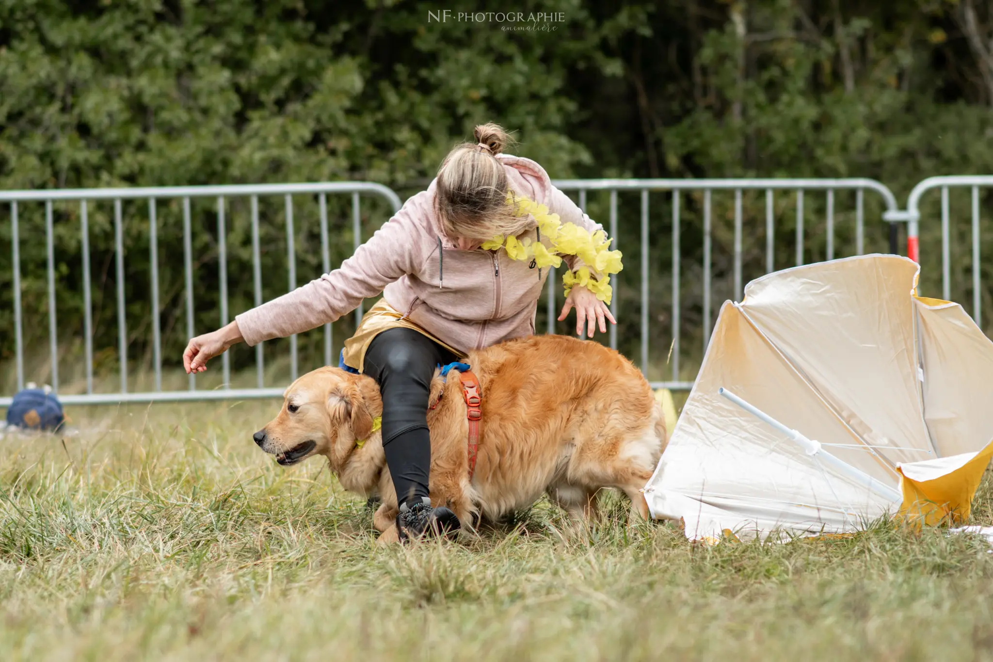 Dog Dancing - Édition 2024 - Canifun