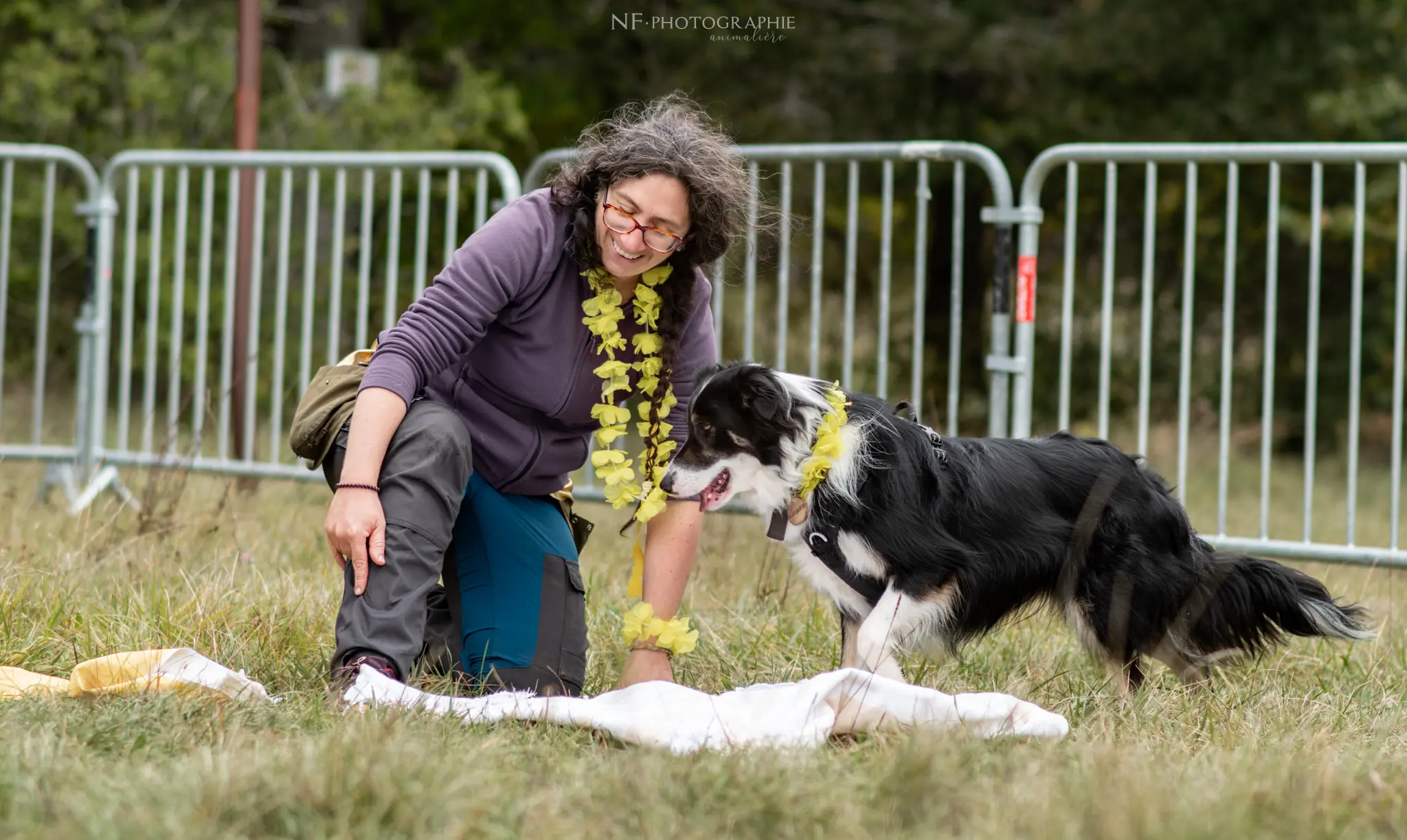 Dog Dancing - Édition 2024 - Canifun