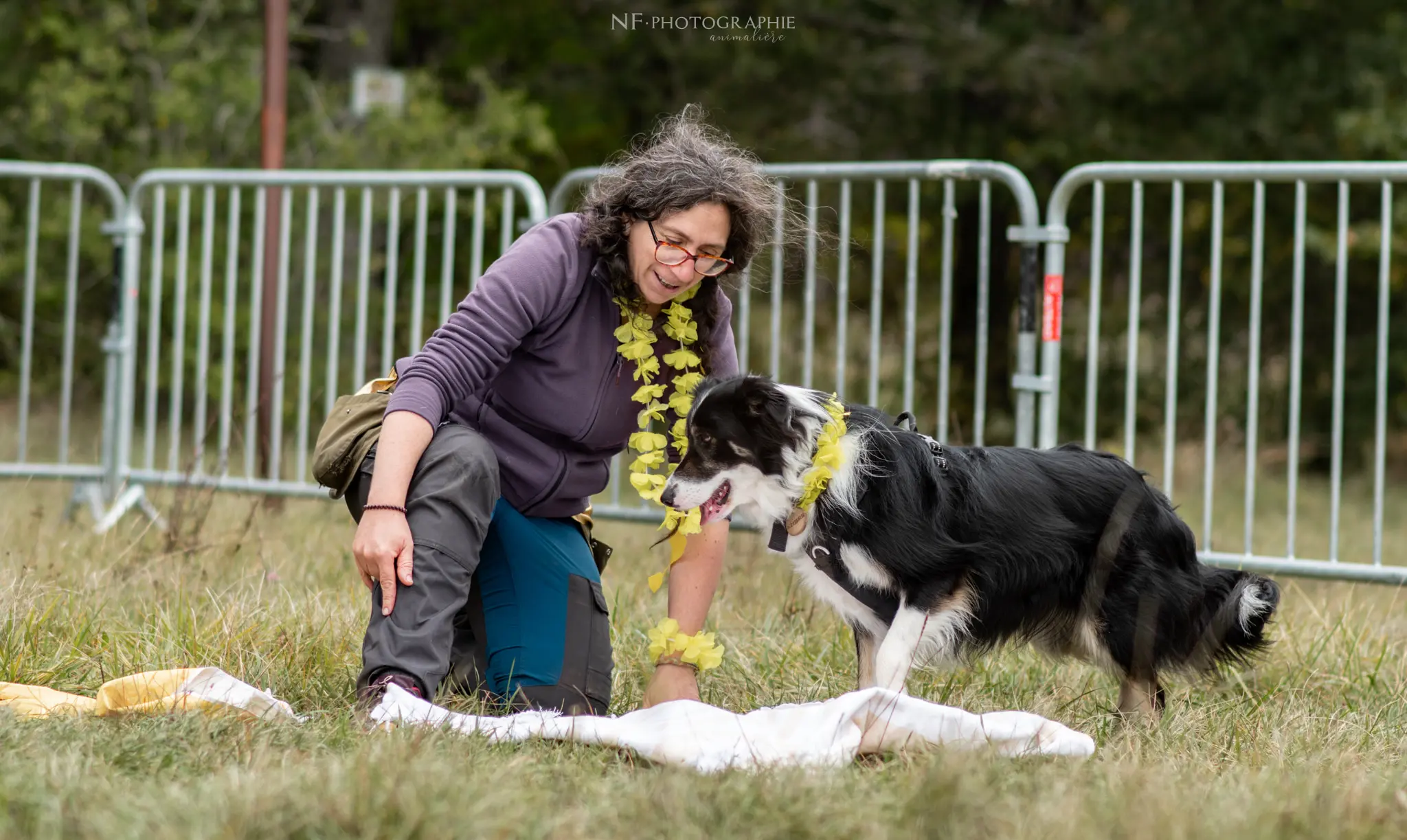 Dog Dancing - Édition 2024 - Canifun