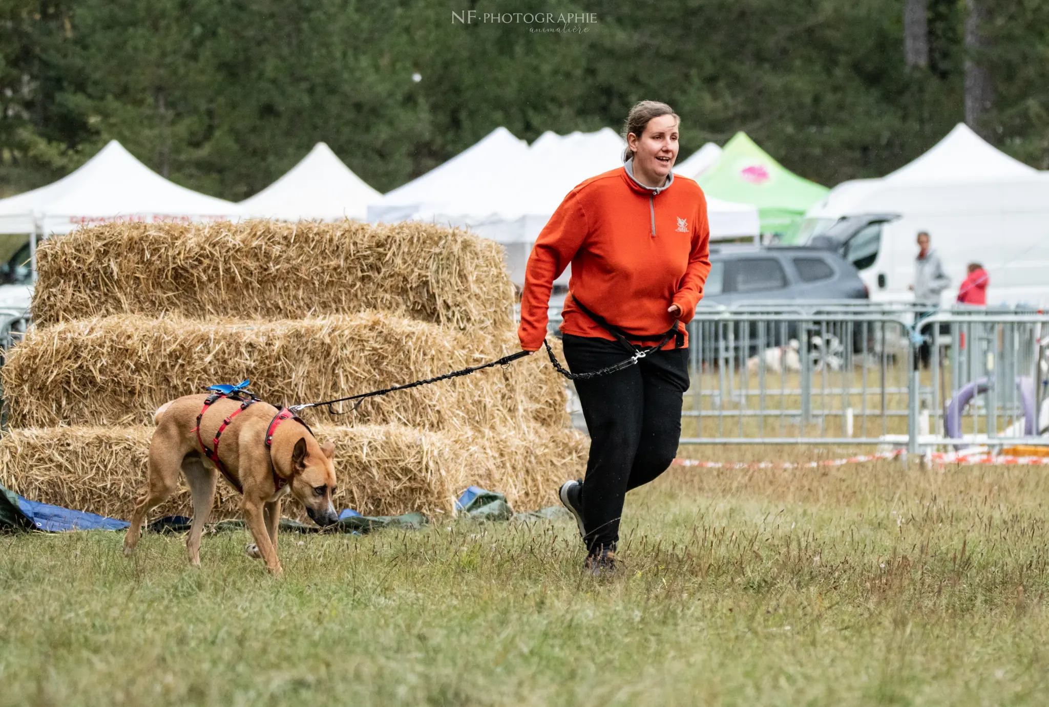 Cani-Parcours - Édition 2024 - Canifun