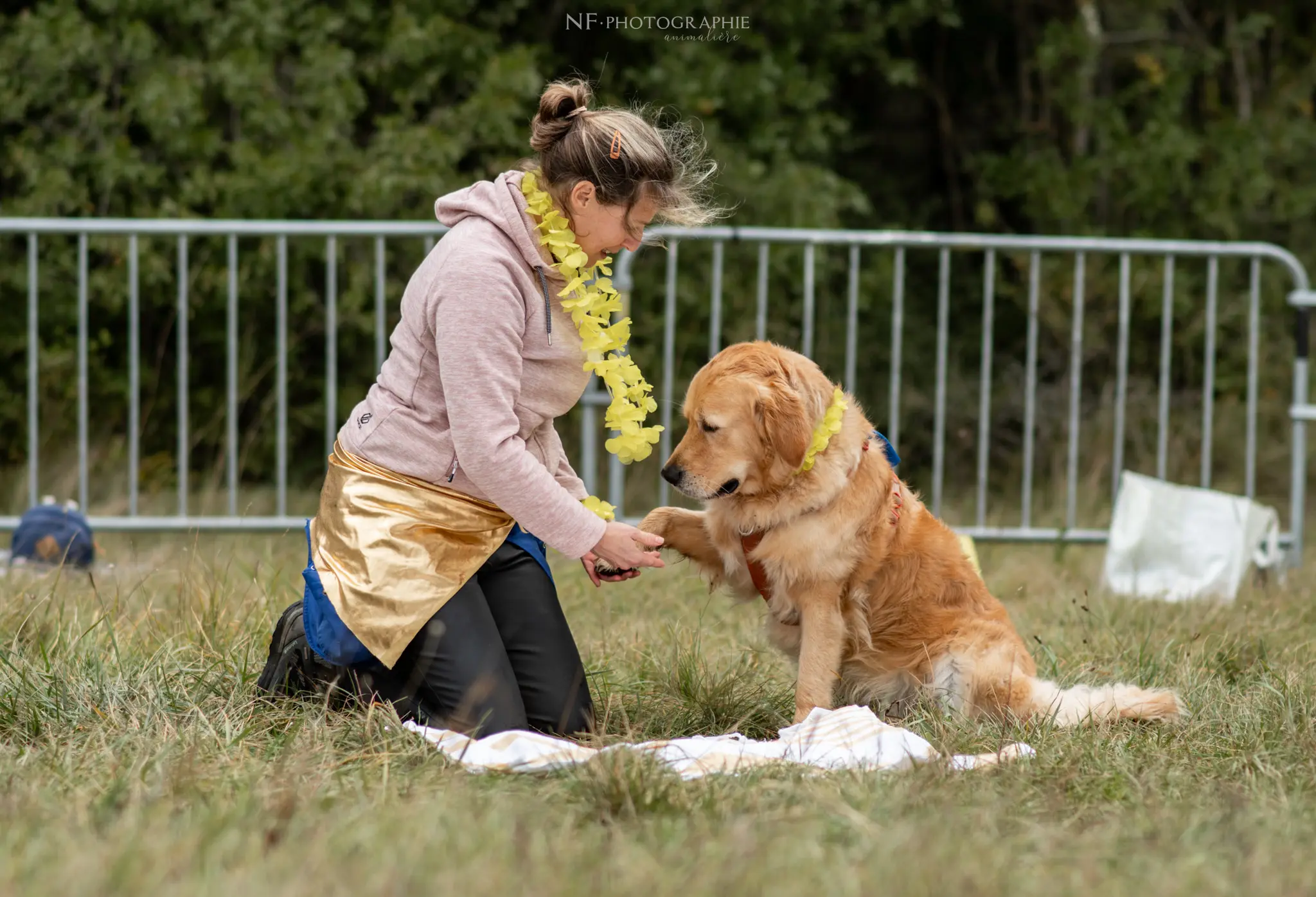 Dog Dancing - Édition 2024 - Canifun