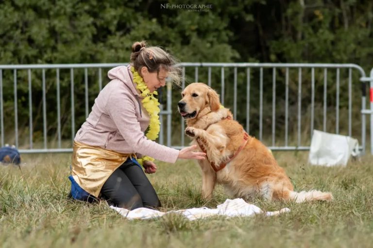 Dog Dancing - Édition 2024 - Canifun