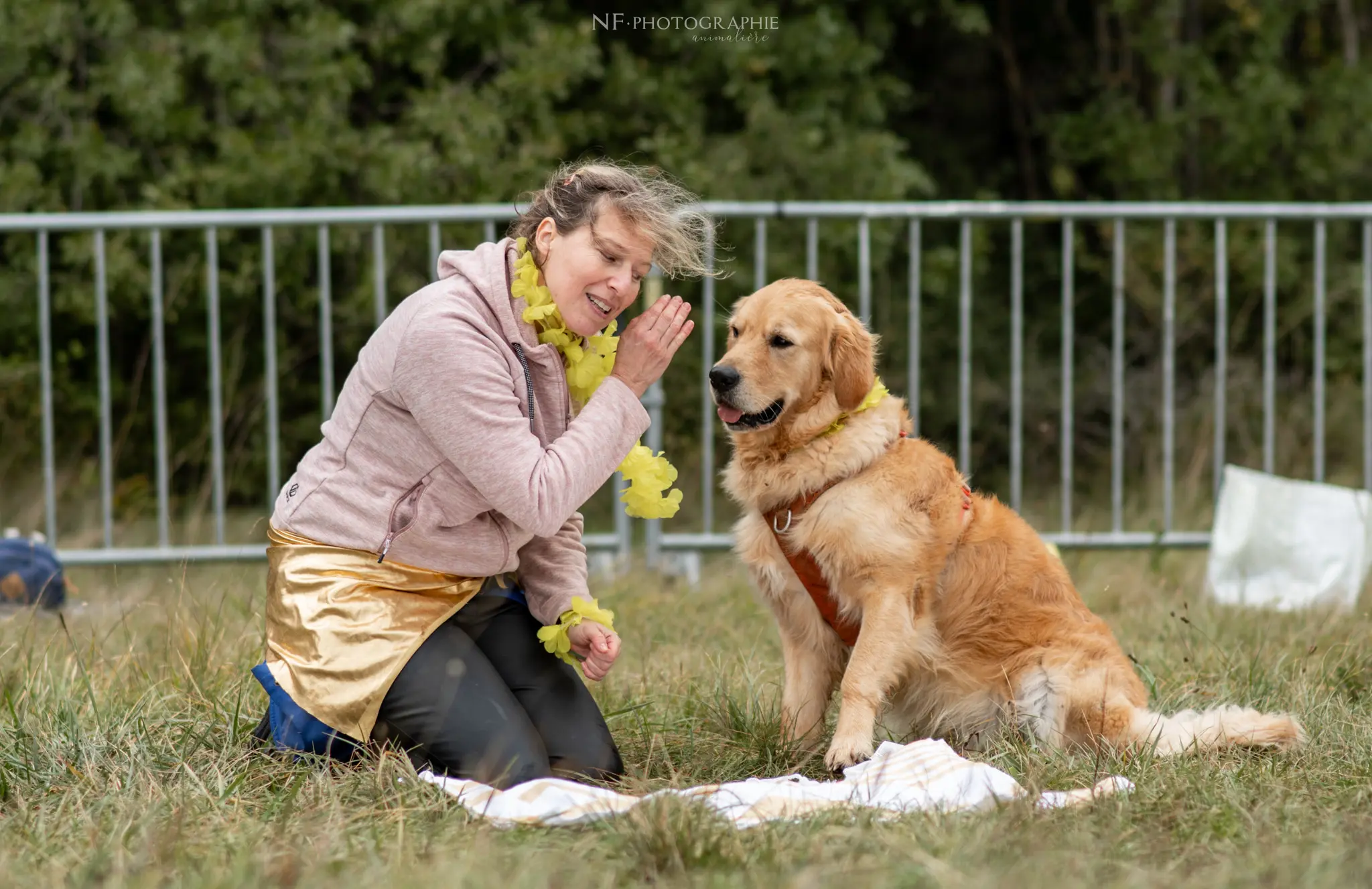 Dog Dancing - Édition 2024 - Canifun