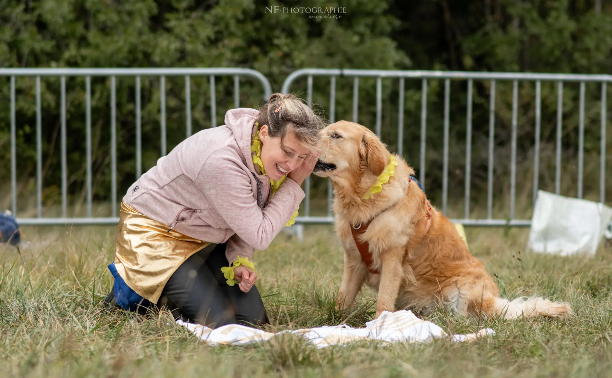 Dog Dancing - Édition 2024 - Canifun