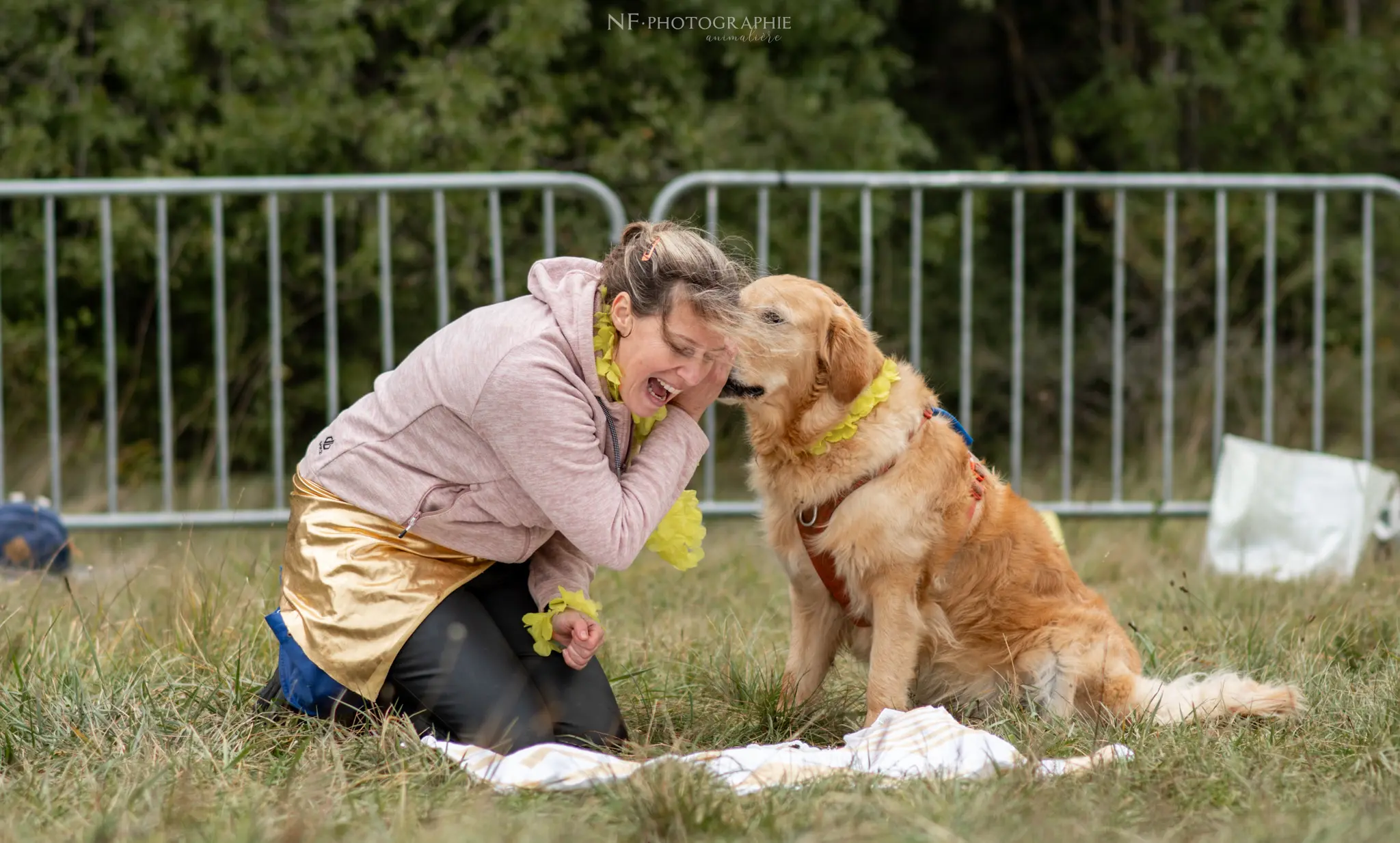 Dog Dancing - Édition 2024 - Canifun