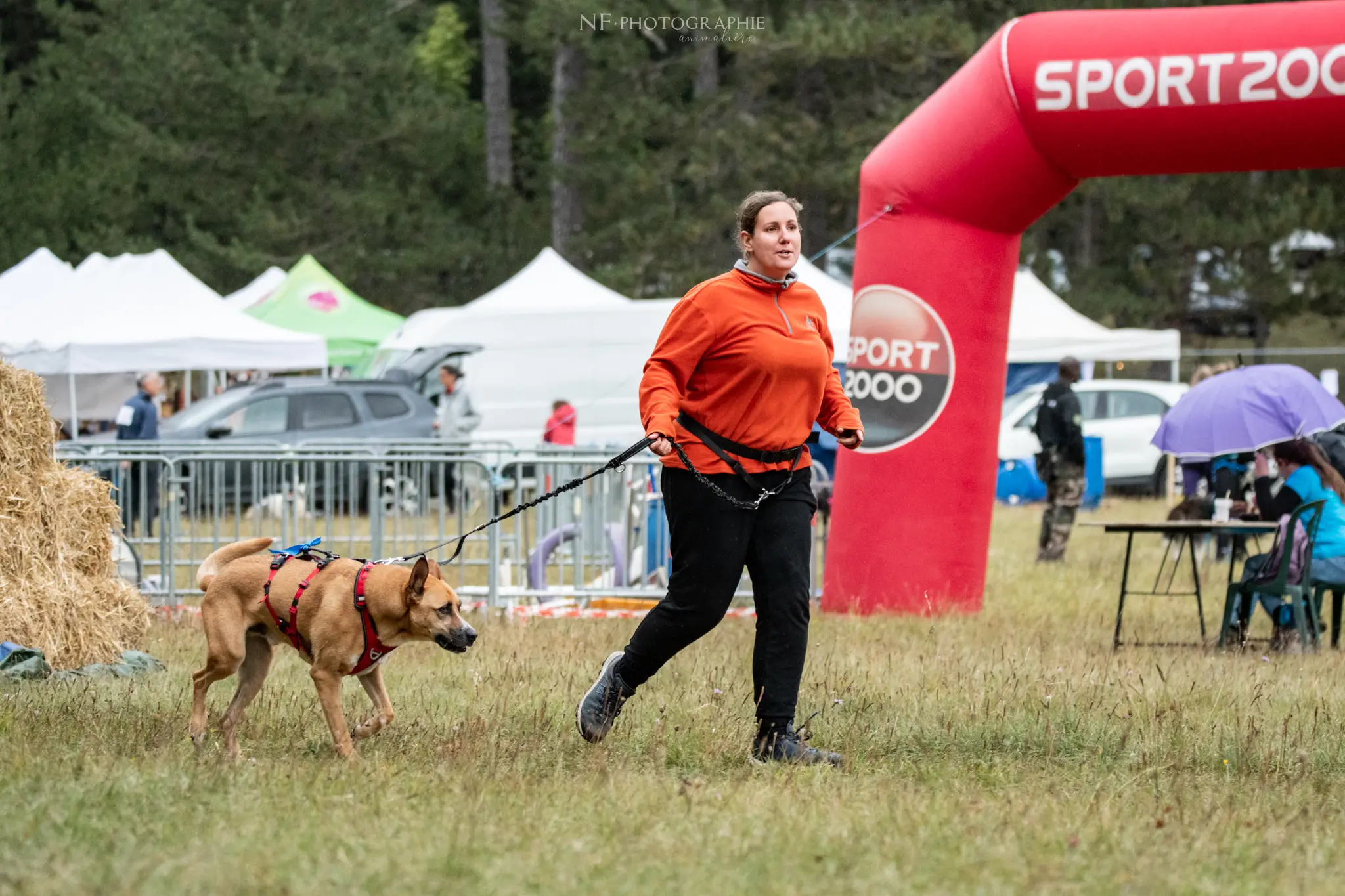 Cani-Parcours - Édition 2024 - Canifun