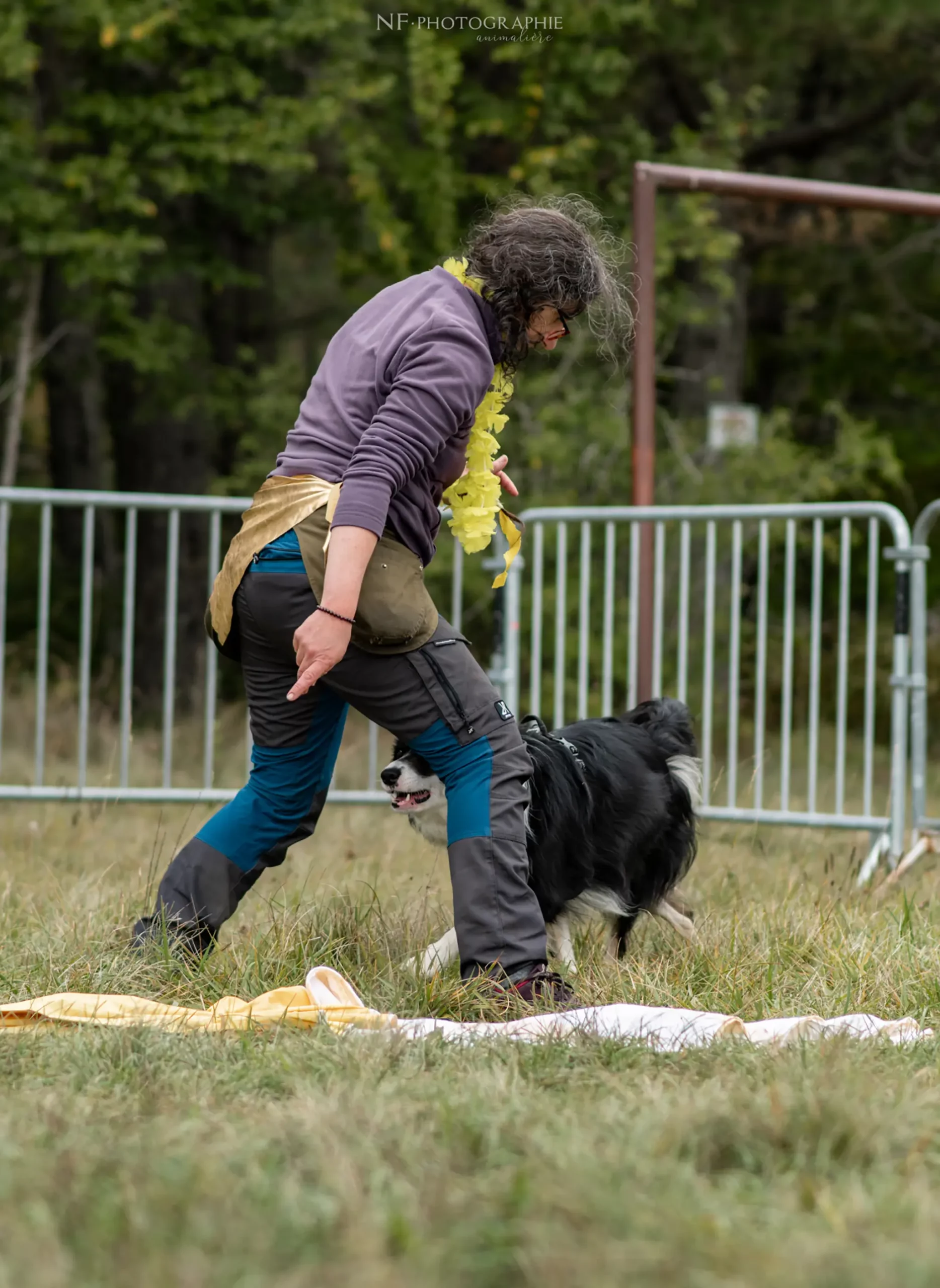 Dog Dancing - Édition 2024 - Canifun