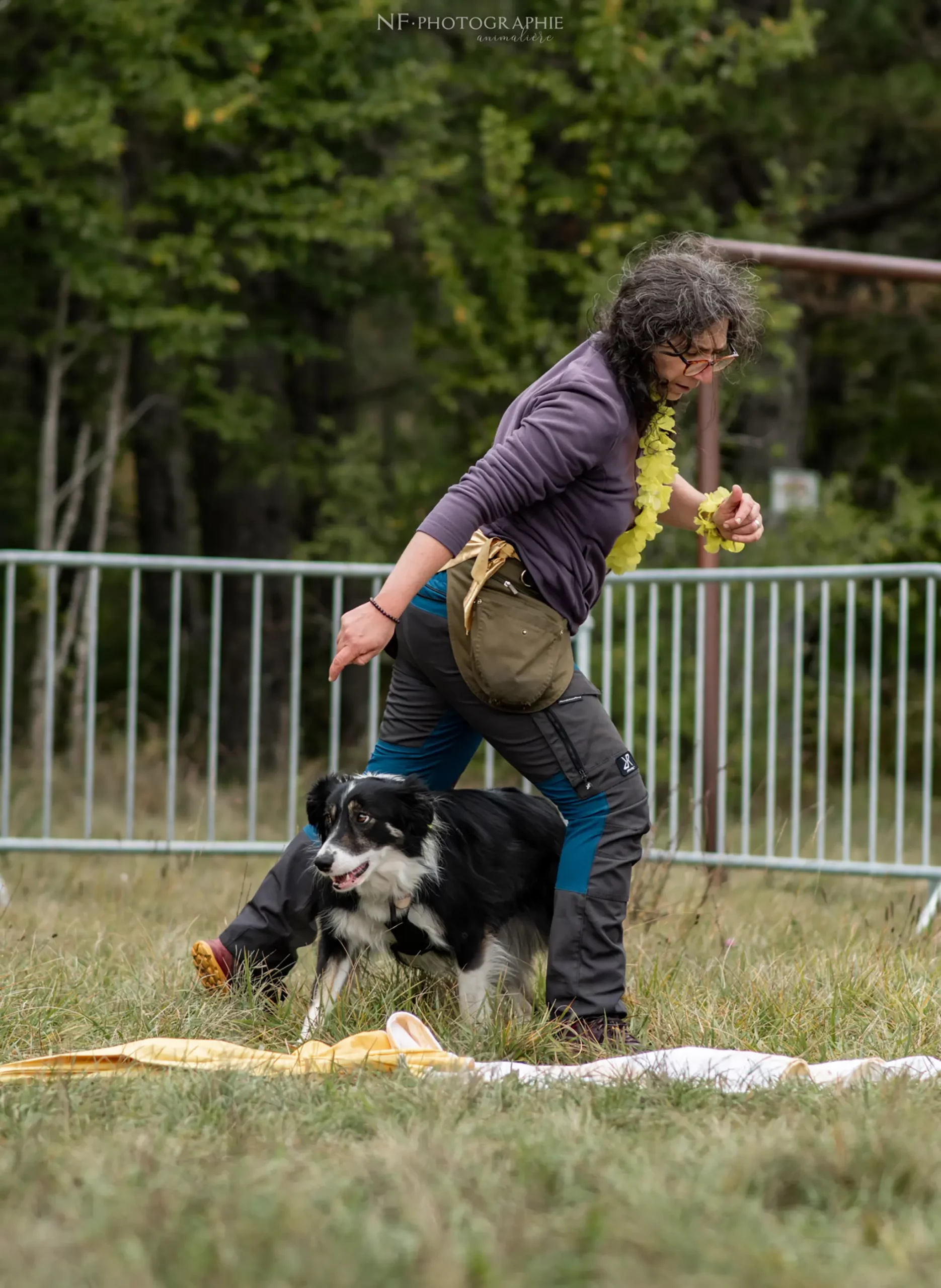 Dog Dancing - Édition 2024 - Canifun