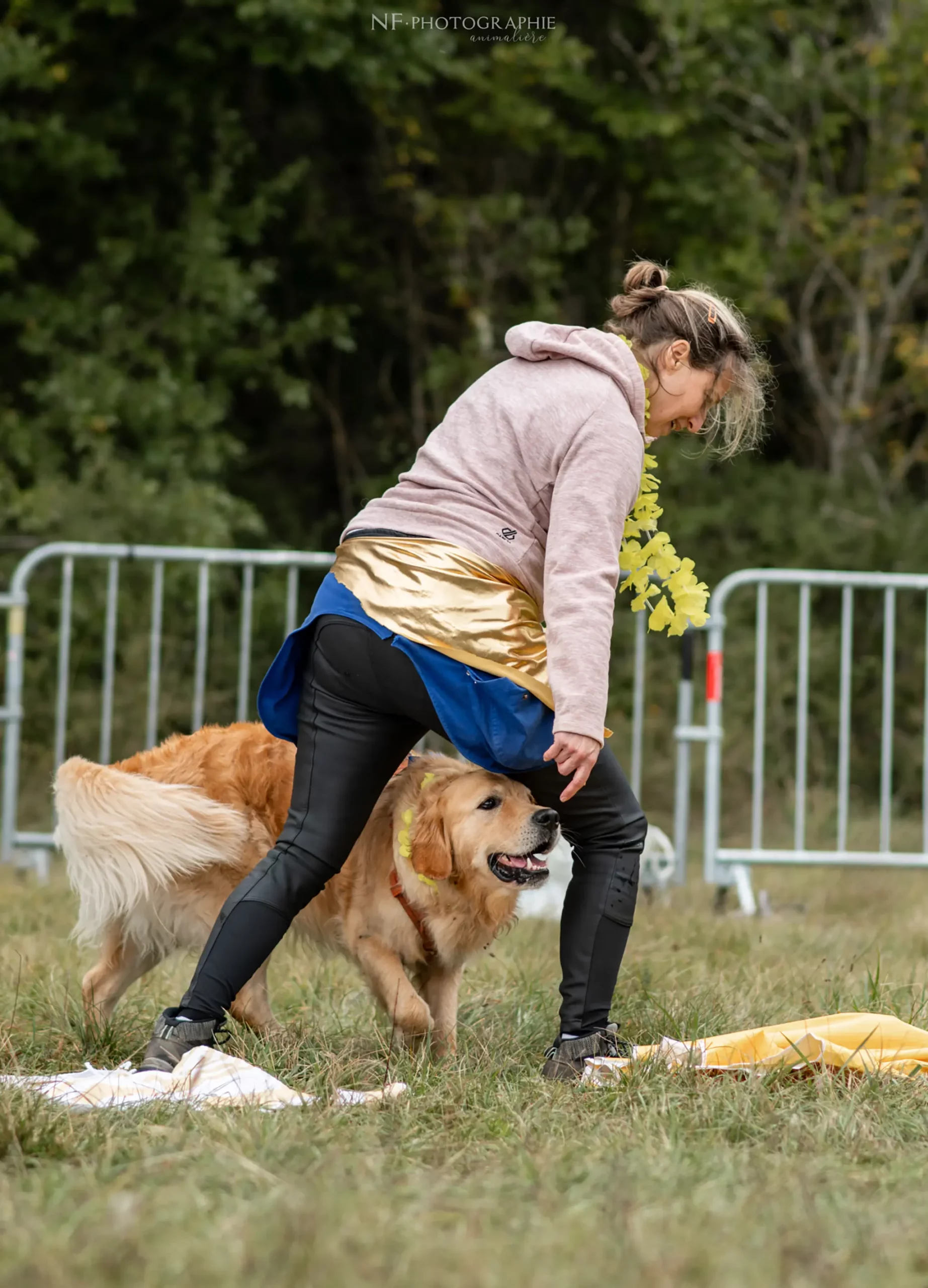 Dog Dancing - Édition 2024 - Canifun