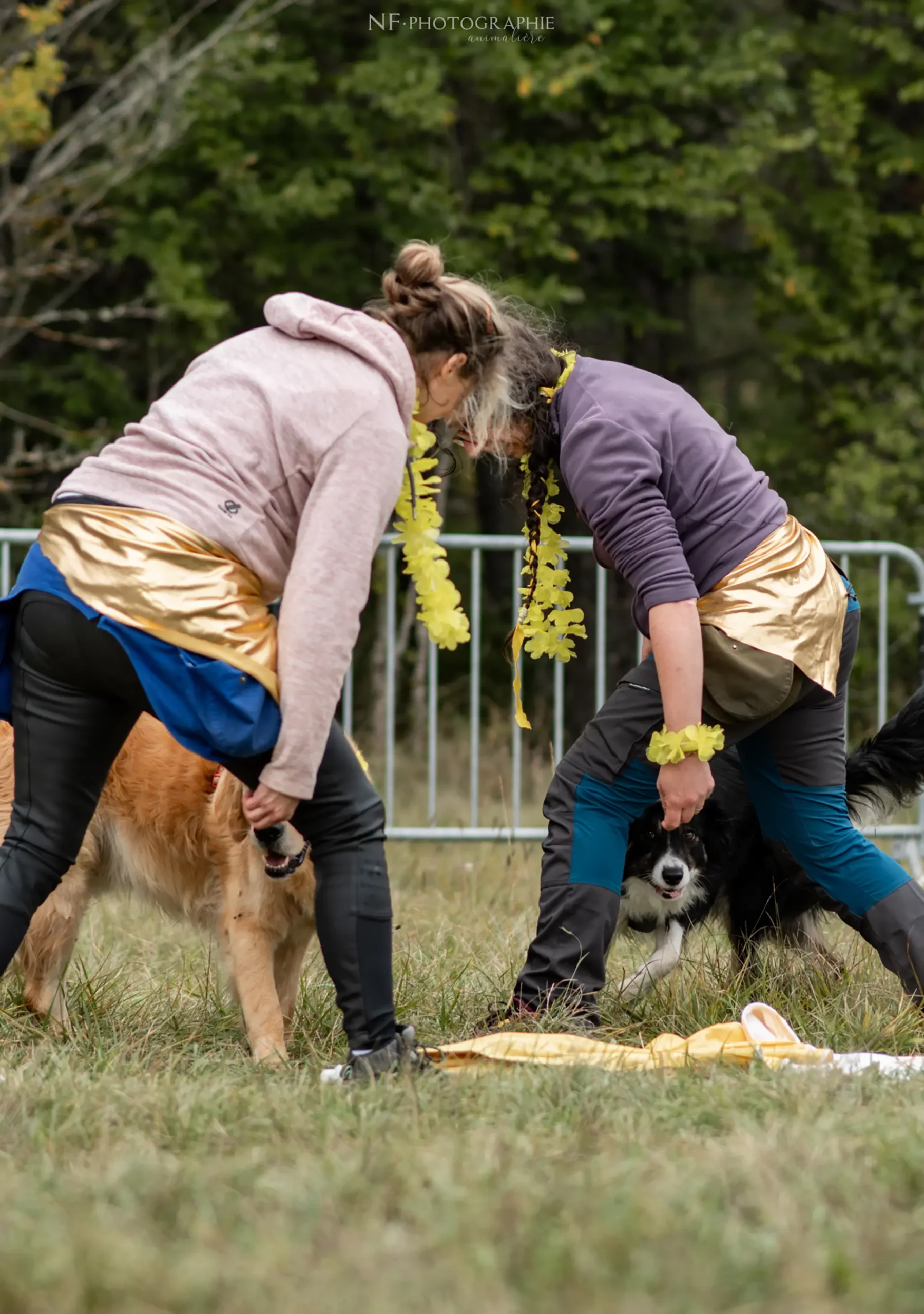 Dog Dancing - Édition 2024 - Canifun