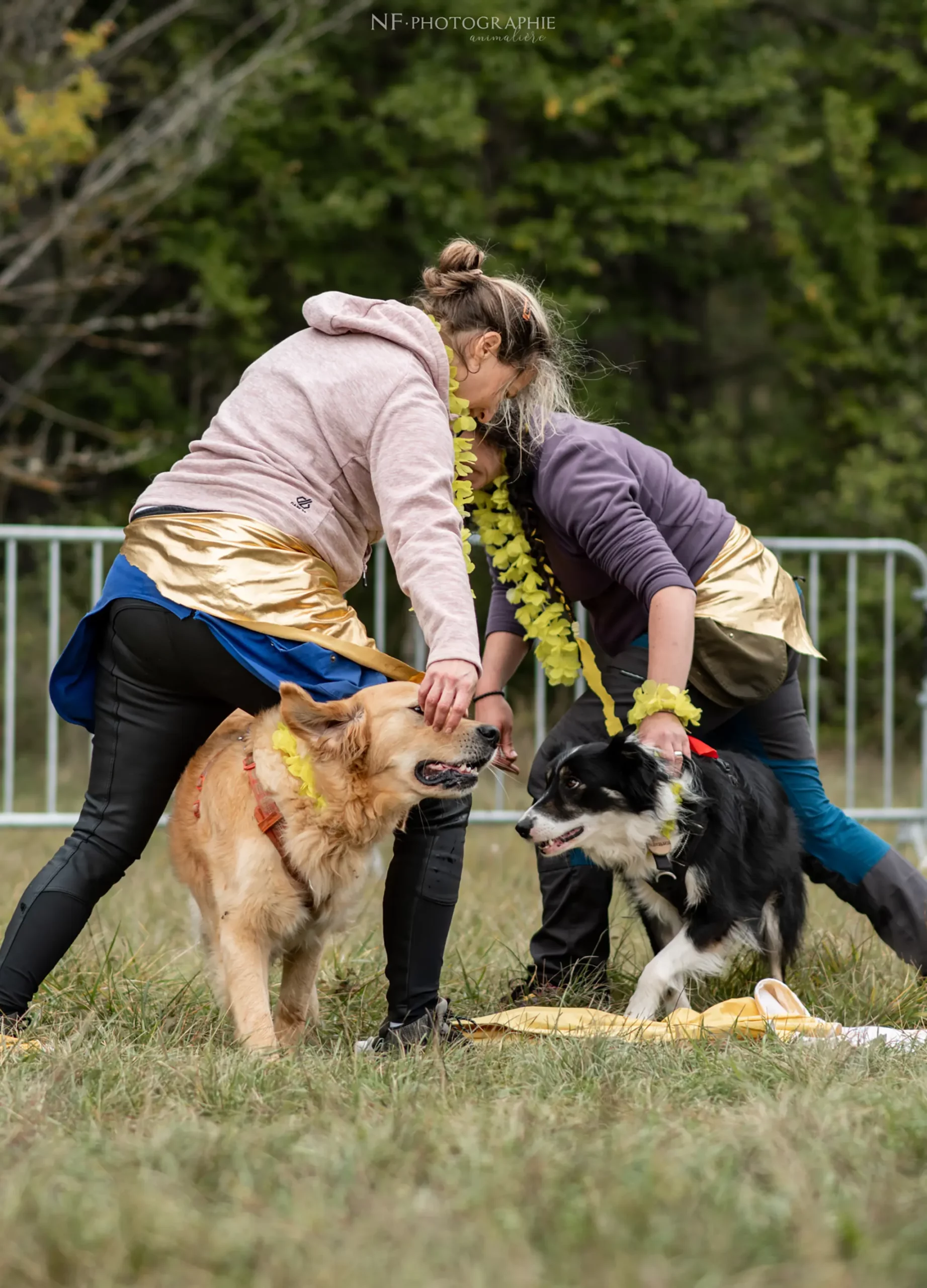 Dog Dancing - Édition 2024 - Canifun