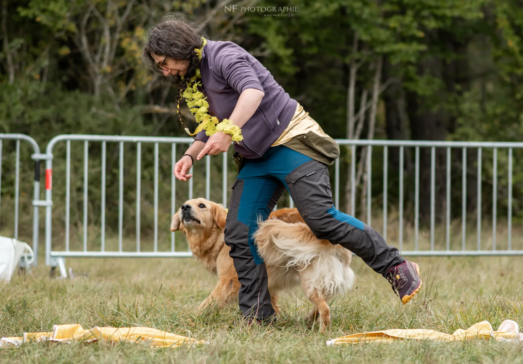 Dog Dancing - Édition 2024 - Canifun