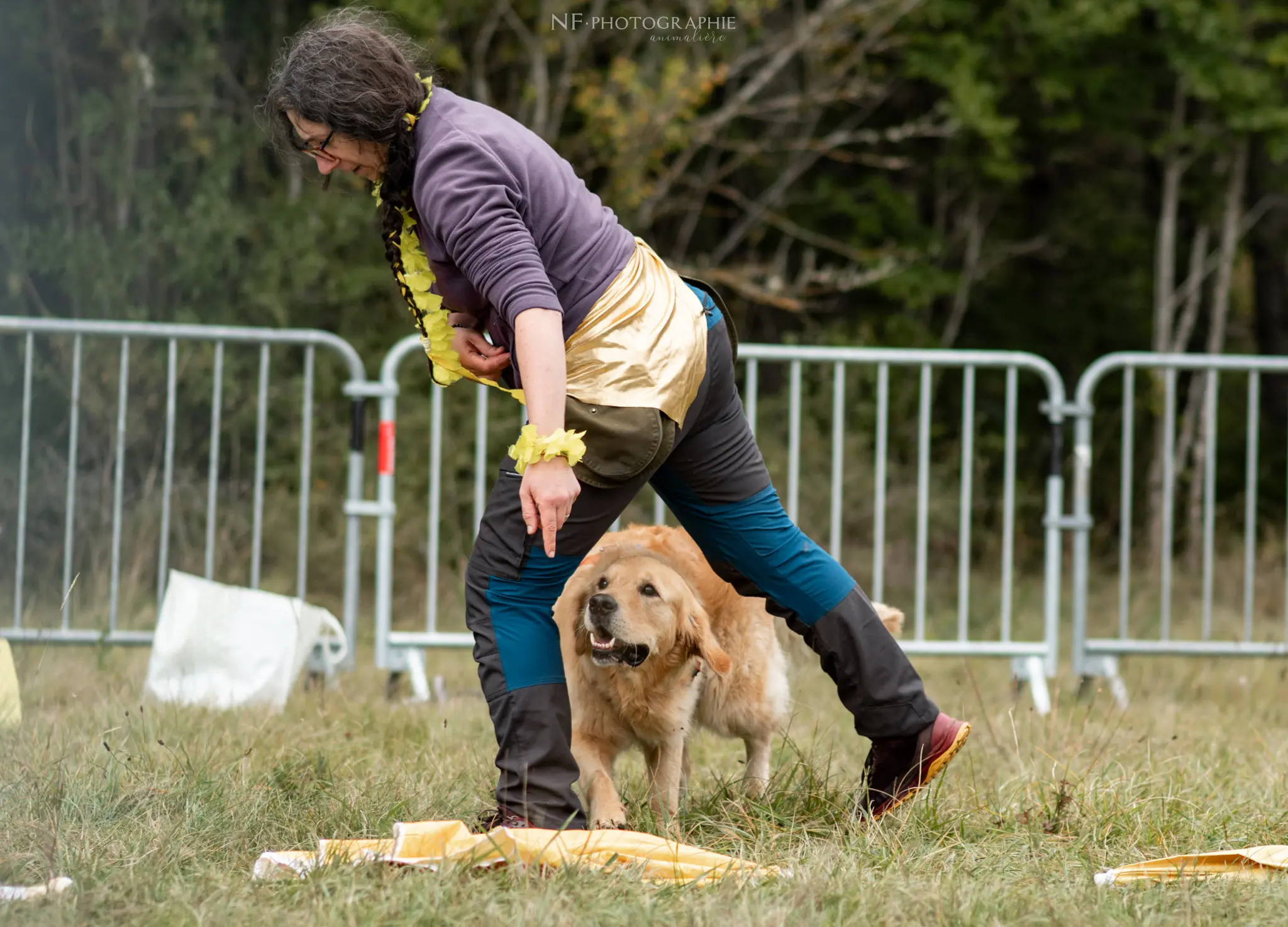 Dog Dancing - Édition 2024 - Canifun