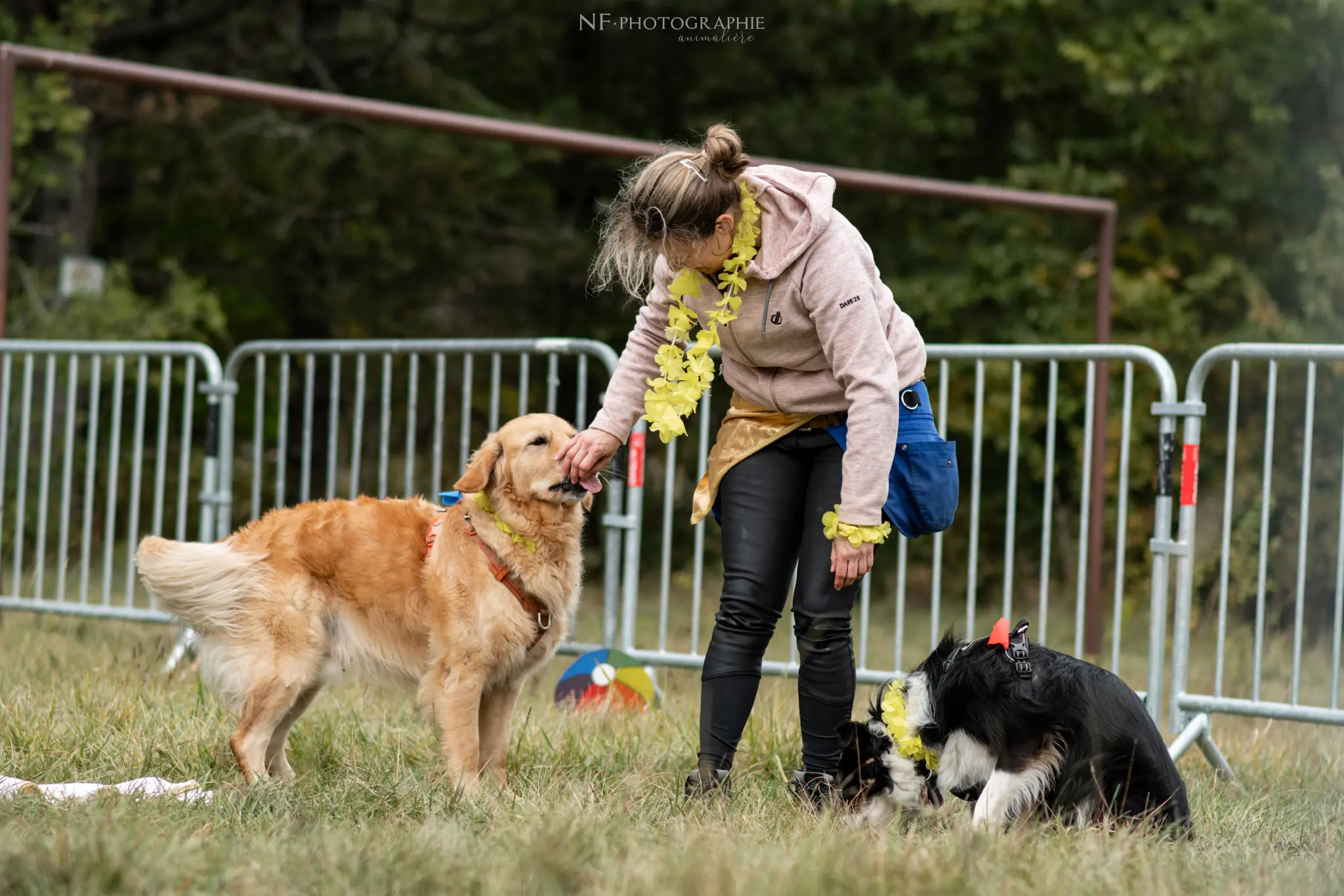 Dog Dancing - Édition 2024 - Canifun