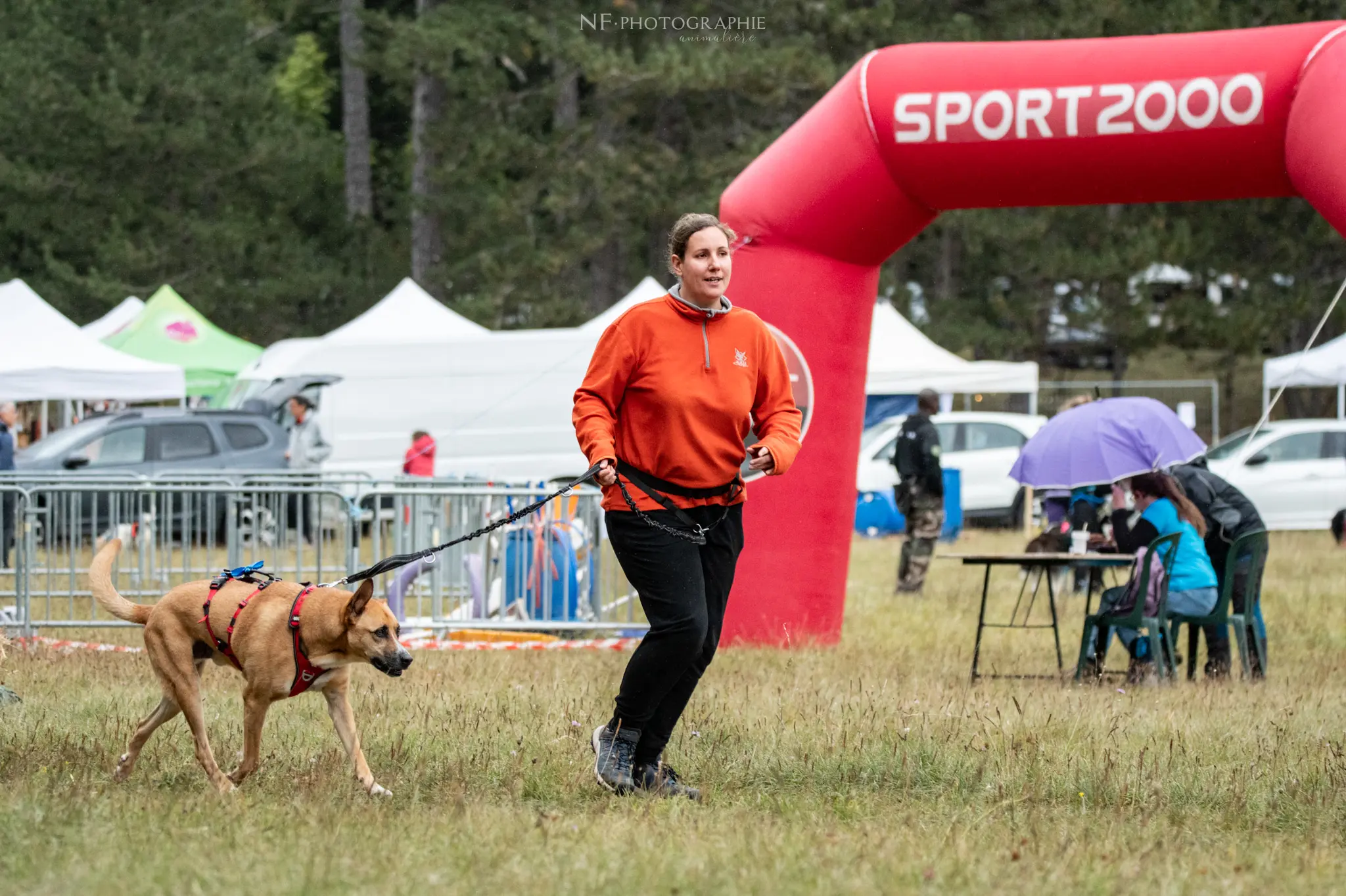 Cani-Parcours - Édition 2024 - Canifun