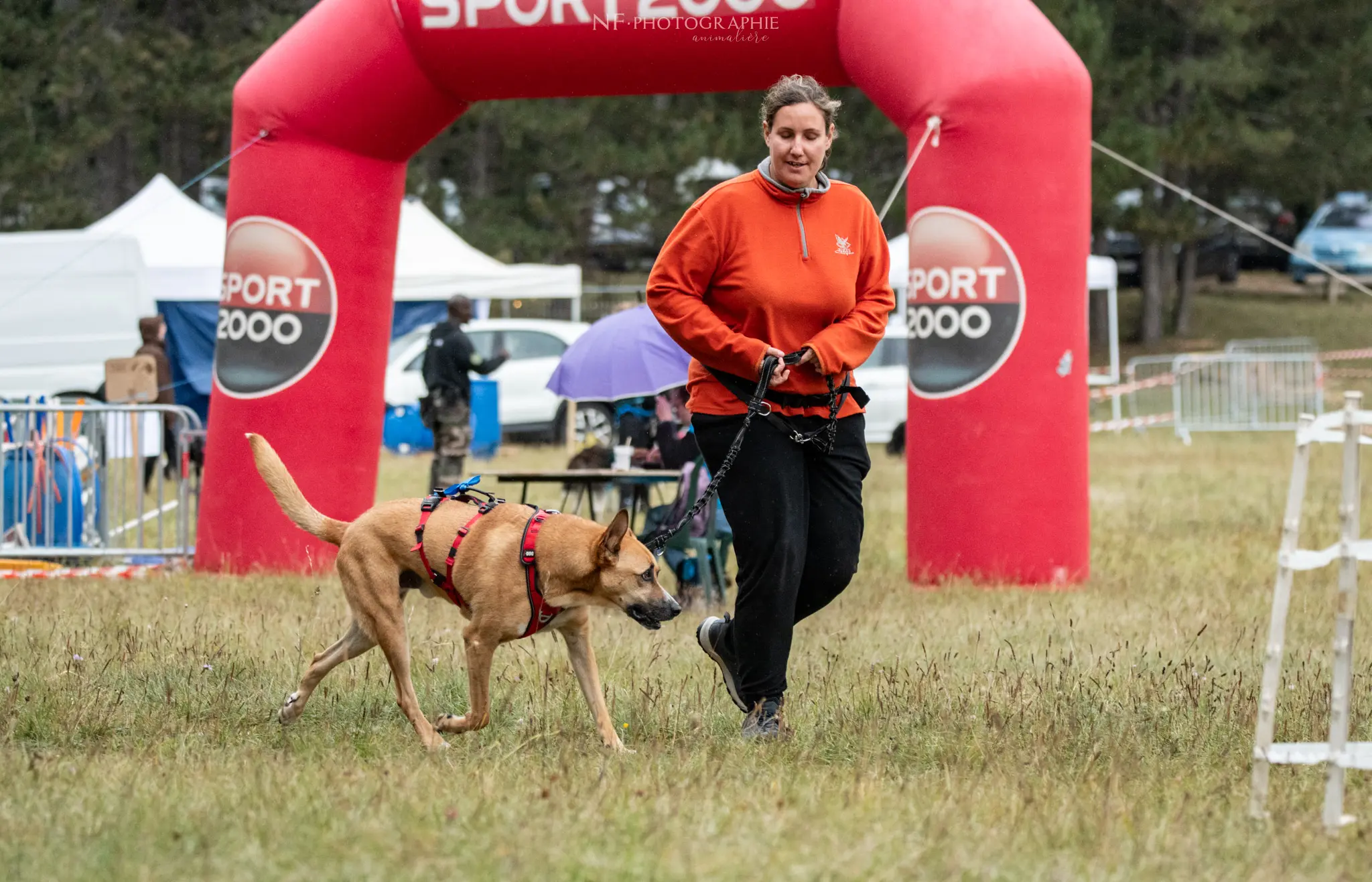 Cani-Parcours - Édition 2024 - Canifun