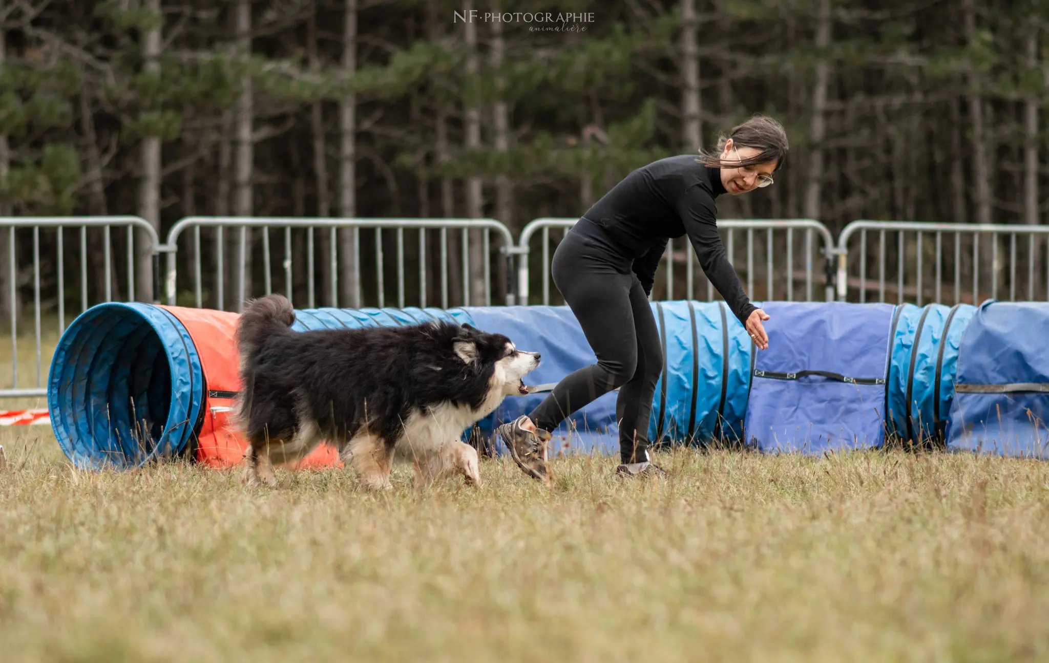 Tunnel-Cup - Édition 2024 - Canifun