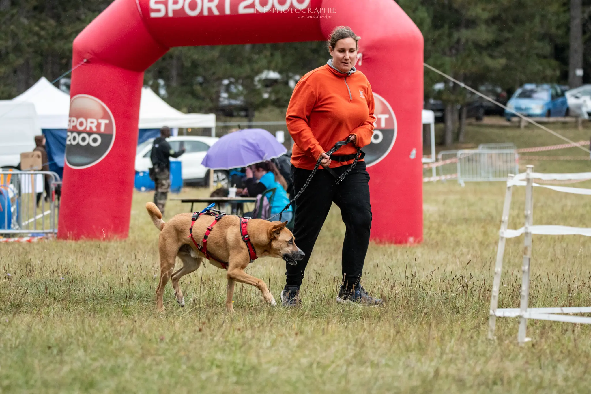 Cani-Parcours - Édition 2024 - Canifun