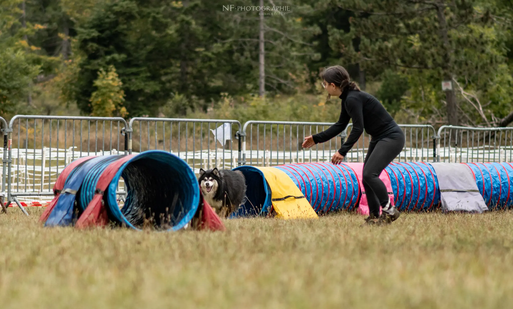 Tunnel-Cup - Édition 2024 - Canifun