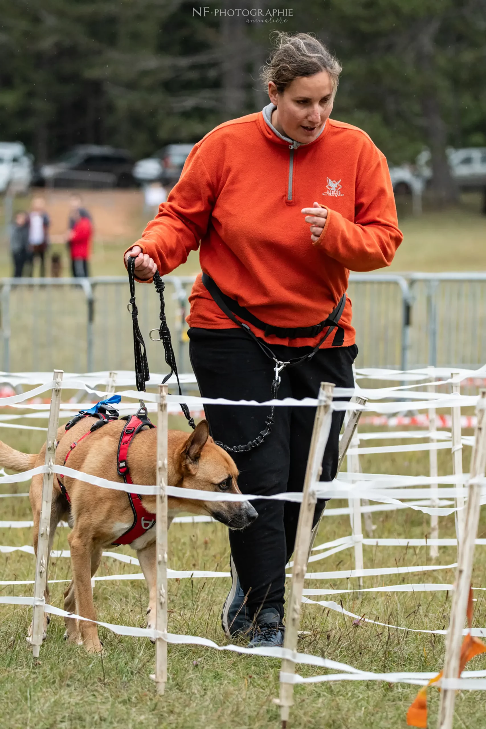 Cani-Parcours - Édition 2024 - Canifun