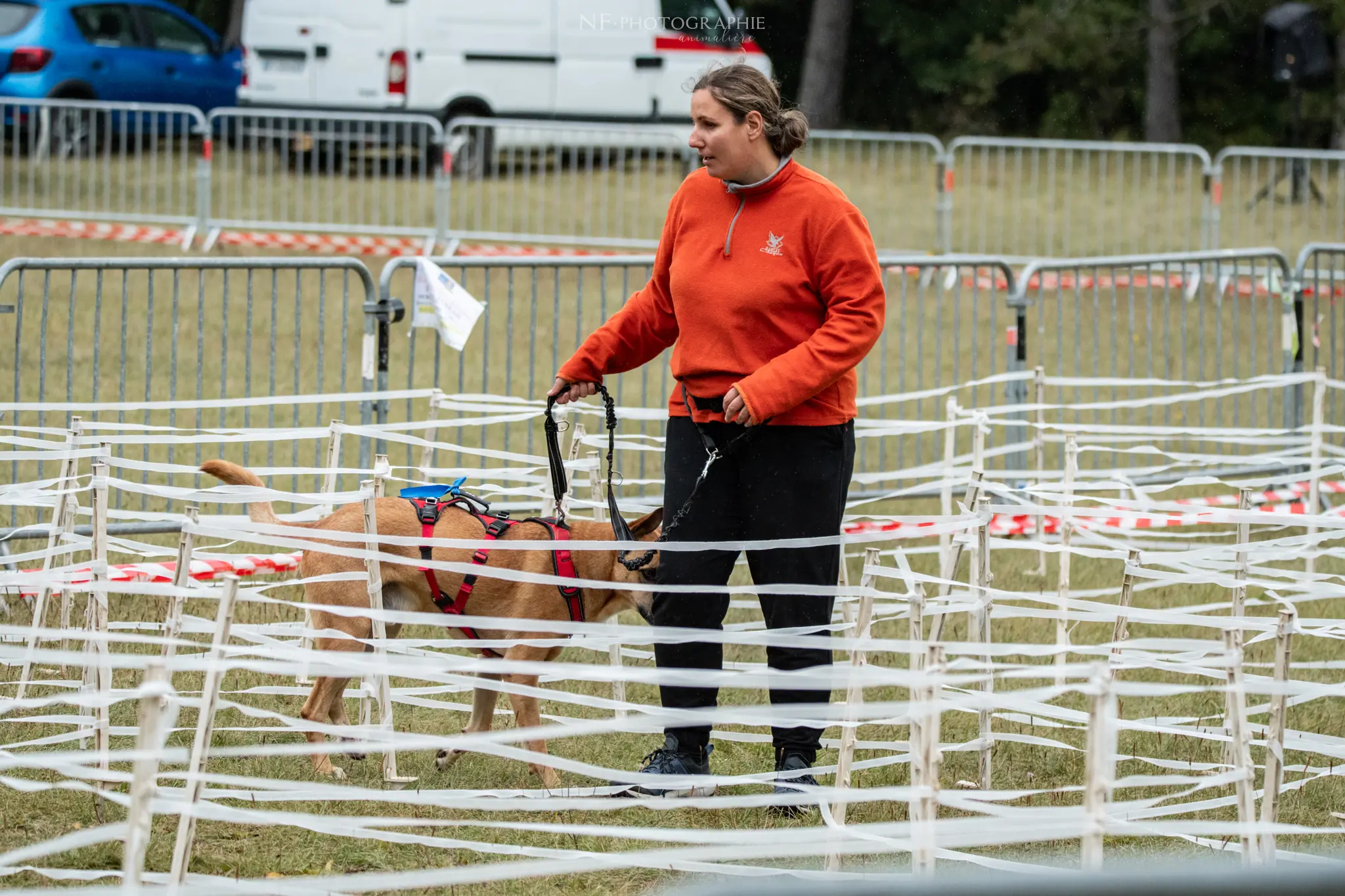 Cani-Parcours - Édition 2024 - Canifun