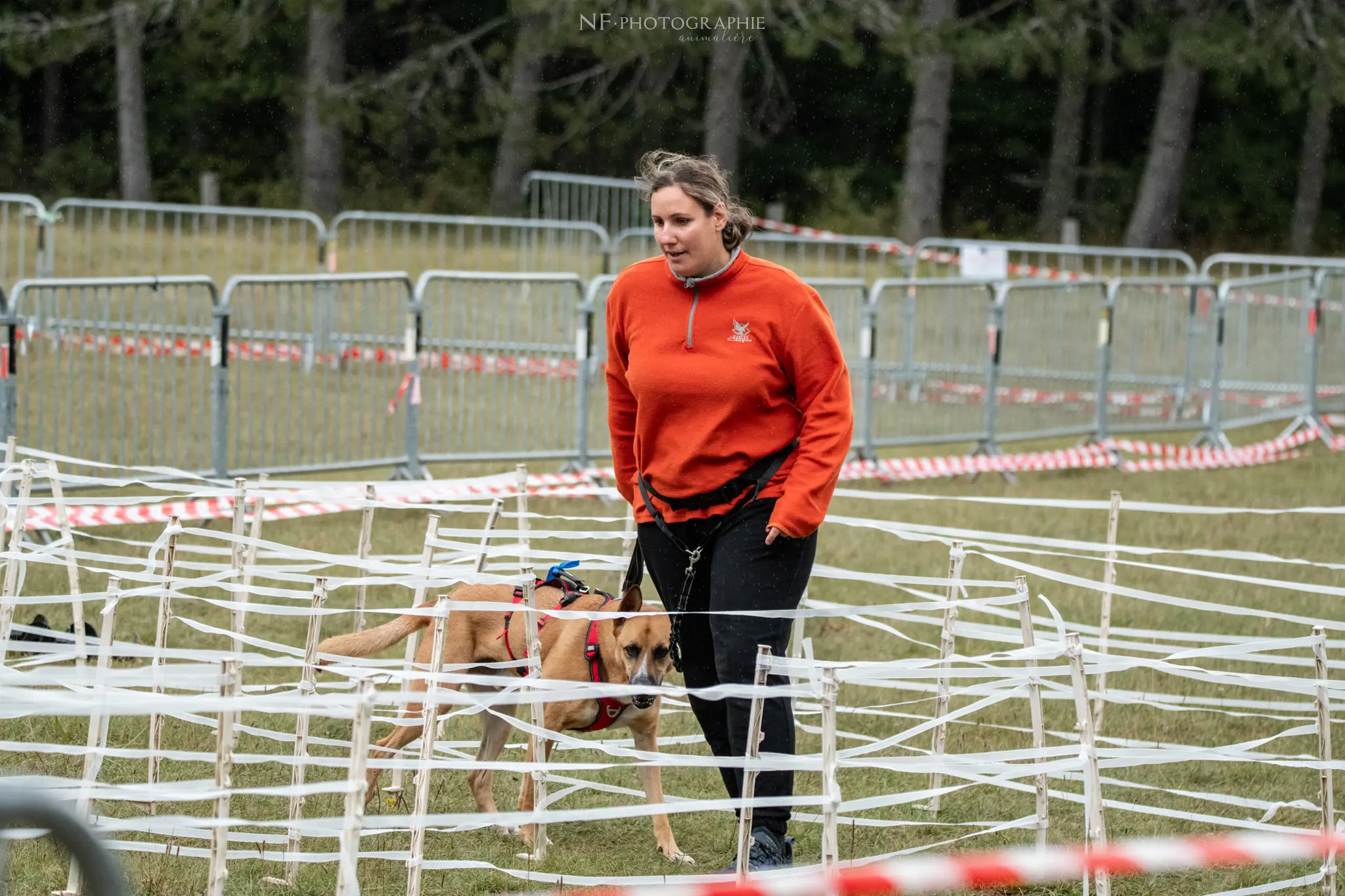 Cani-Parcours - Édition 2024 - Canifun