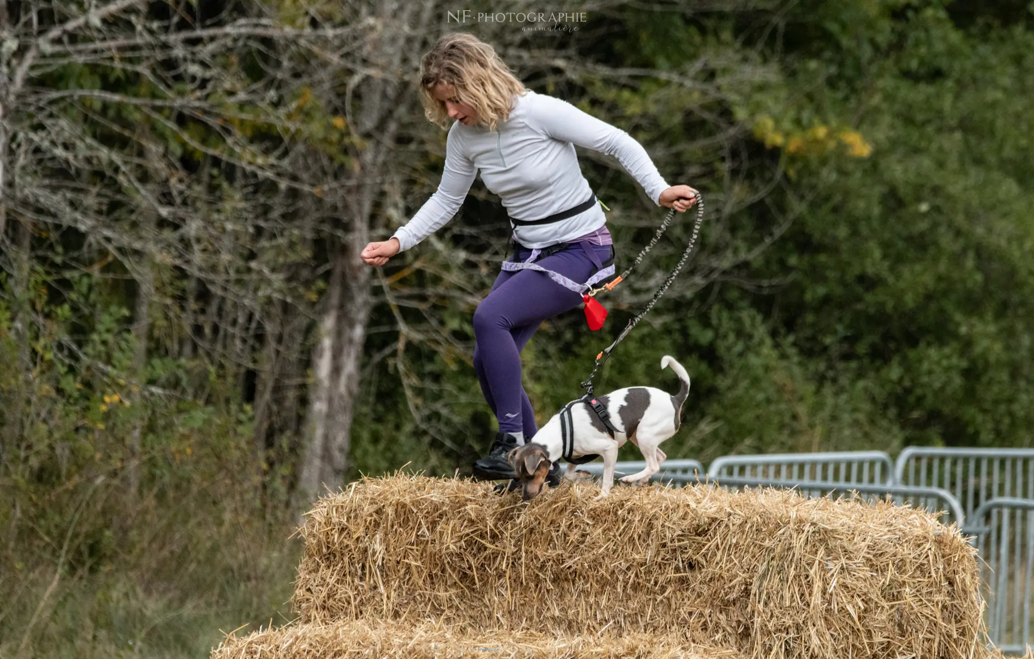 Cani-Parcours - Édition 2024 - Canifun