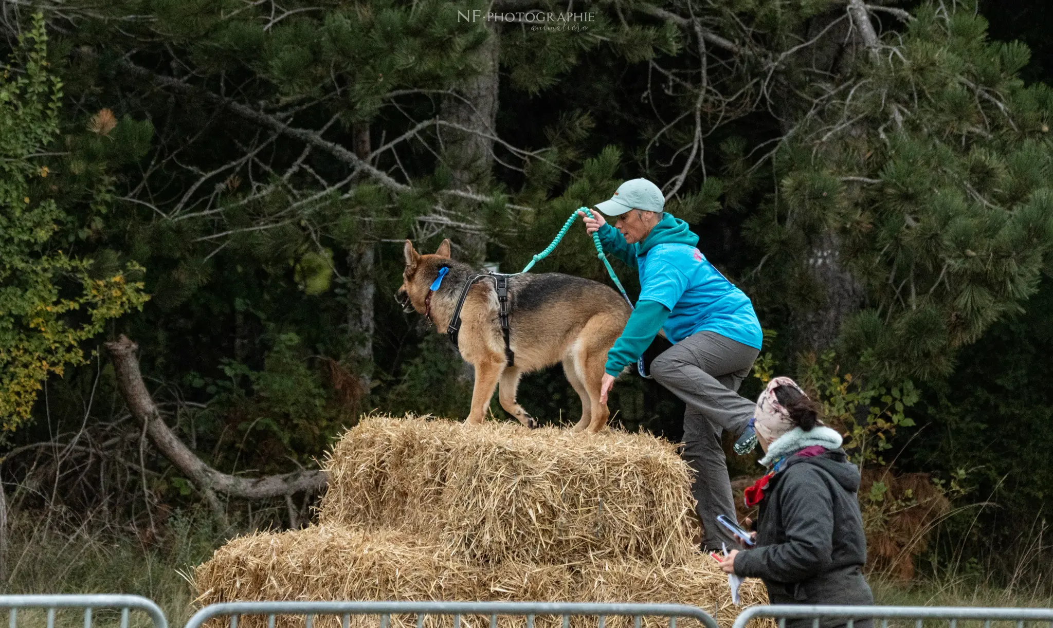 Cani-Parcours - Édition 2024 - Canifun