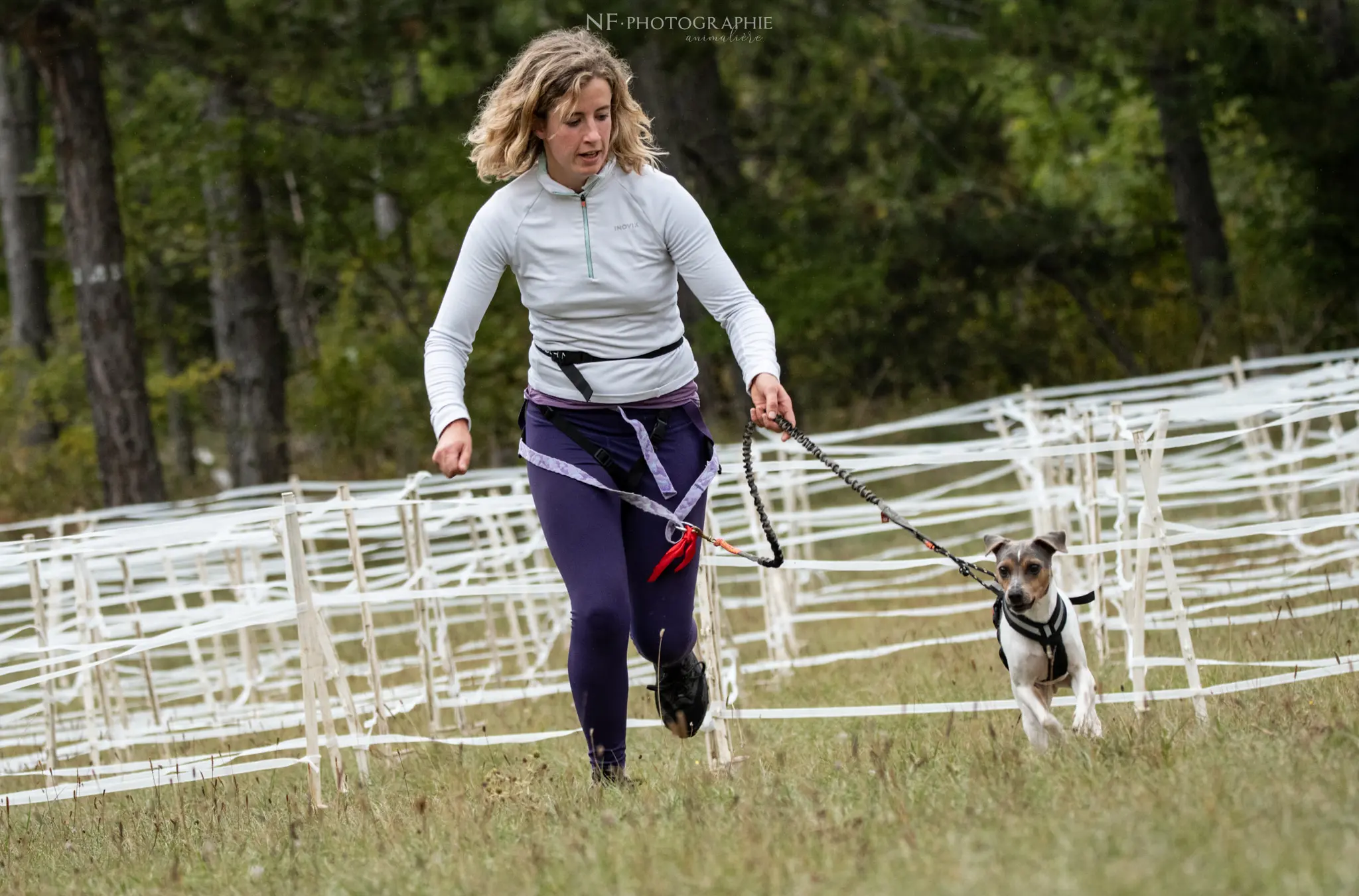 Cani-Parcours - Édition 2024 - Canifun