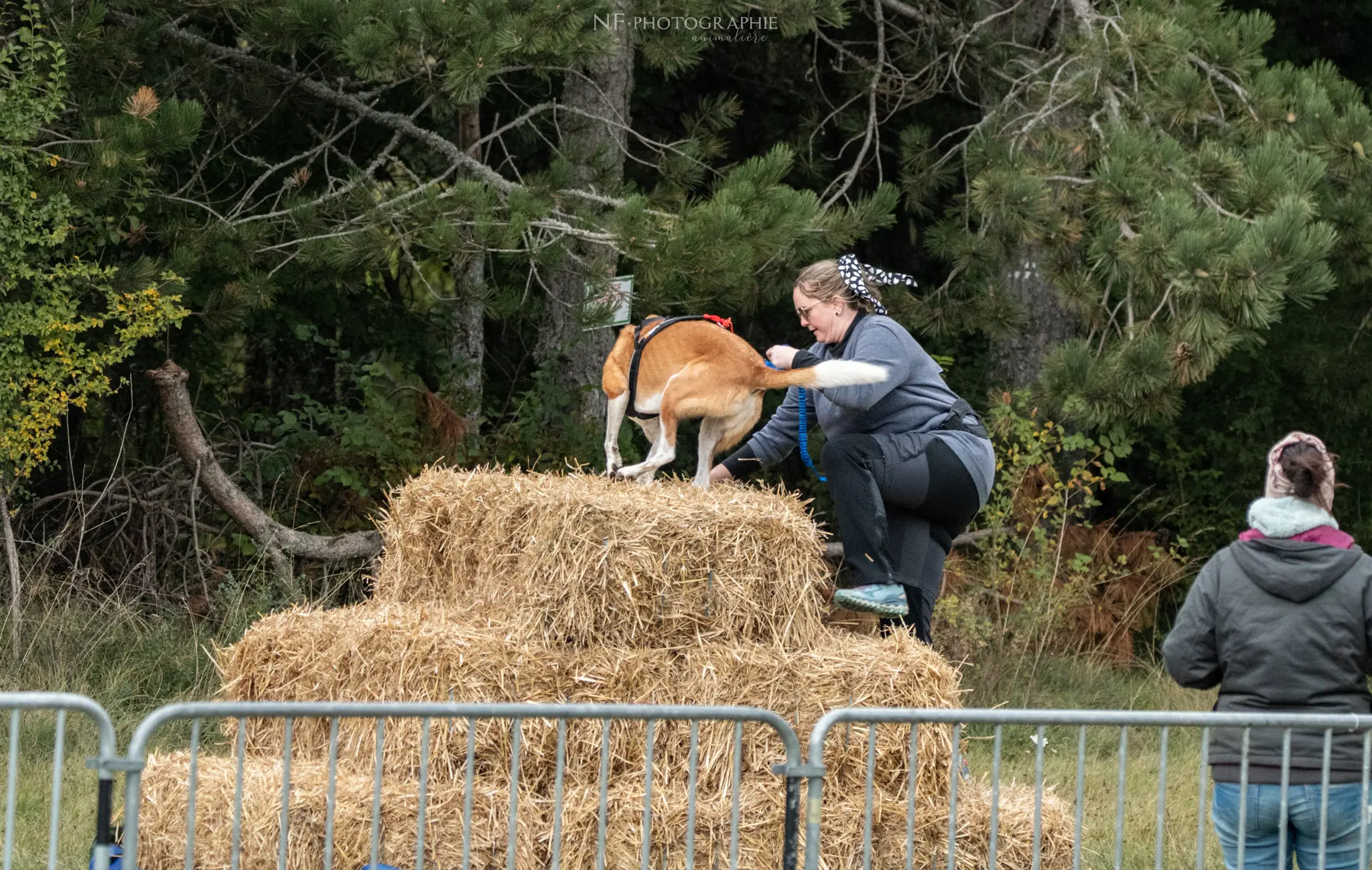 Cani-Parcours - Édition 2024 - Canifun