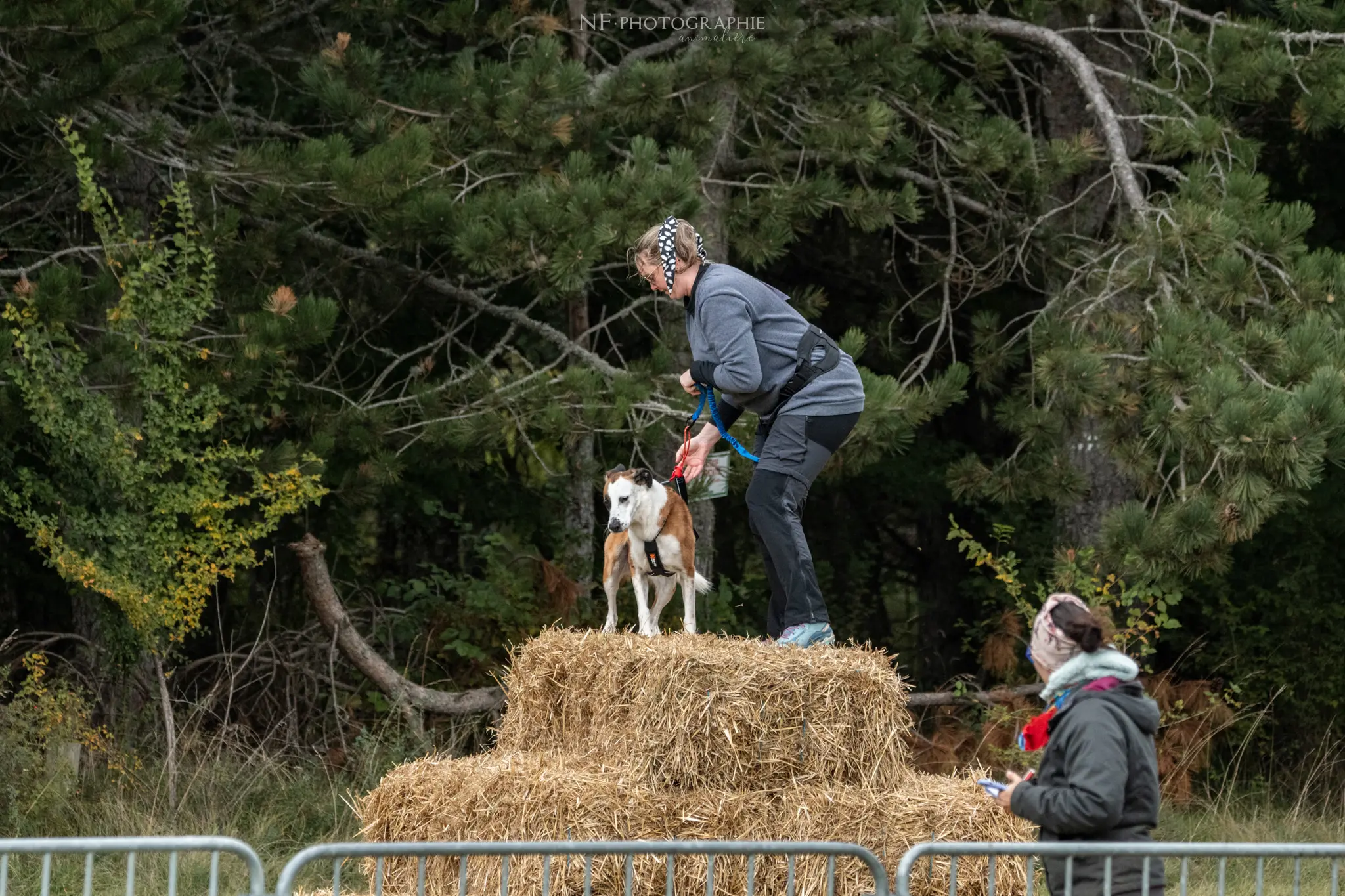 Cani-Parcours - Édition 2024 - Canifun