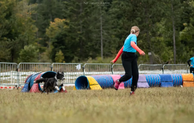 Tunnel-Cup - Édition 2024 - Canifun