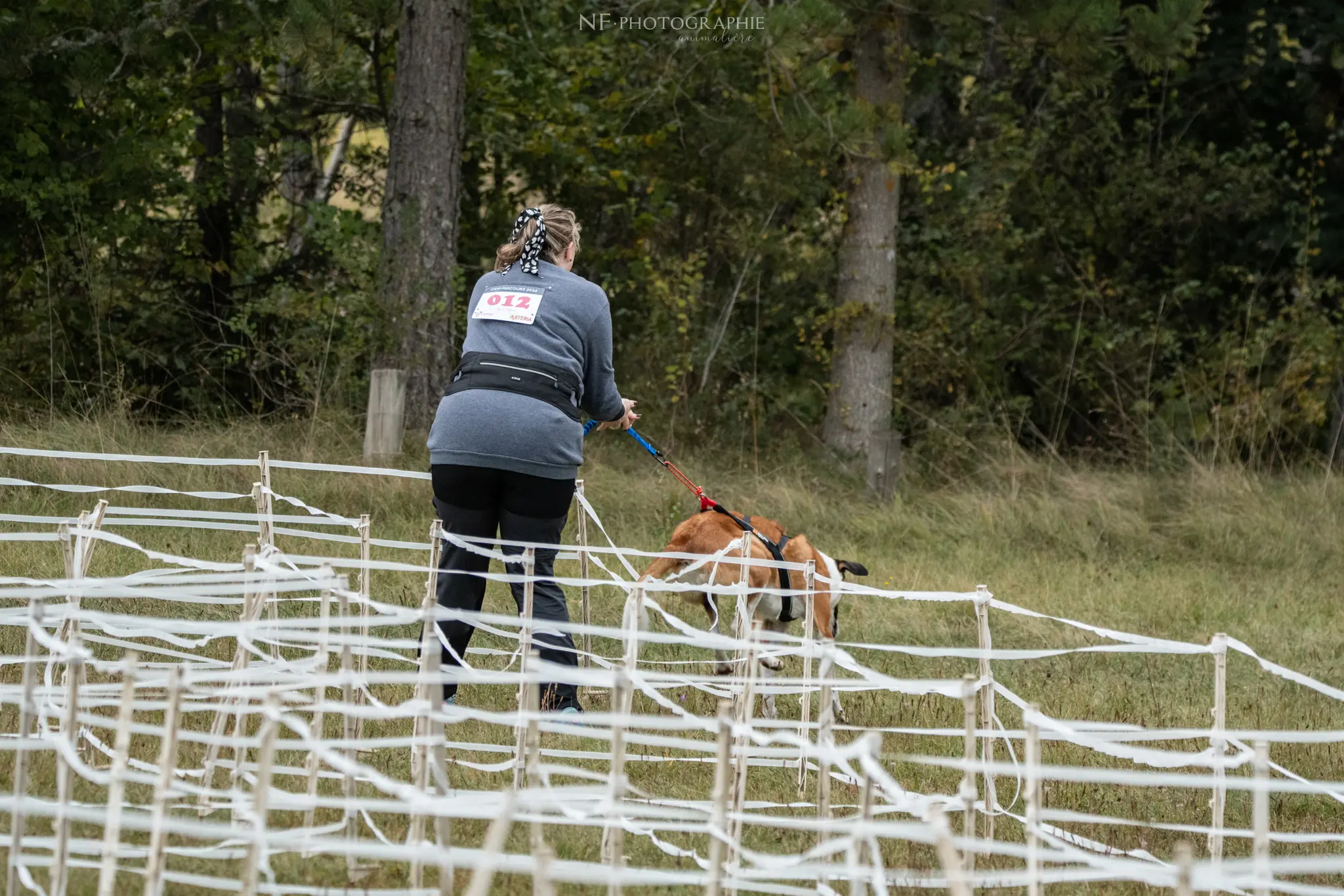 Cani-Parcours - Édition 2024 - Canifun