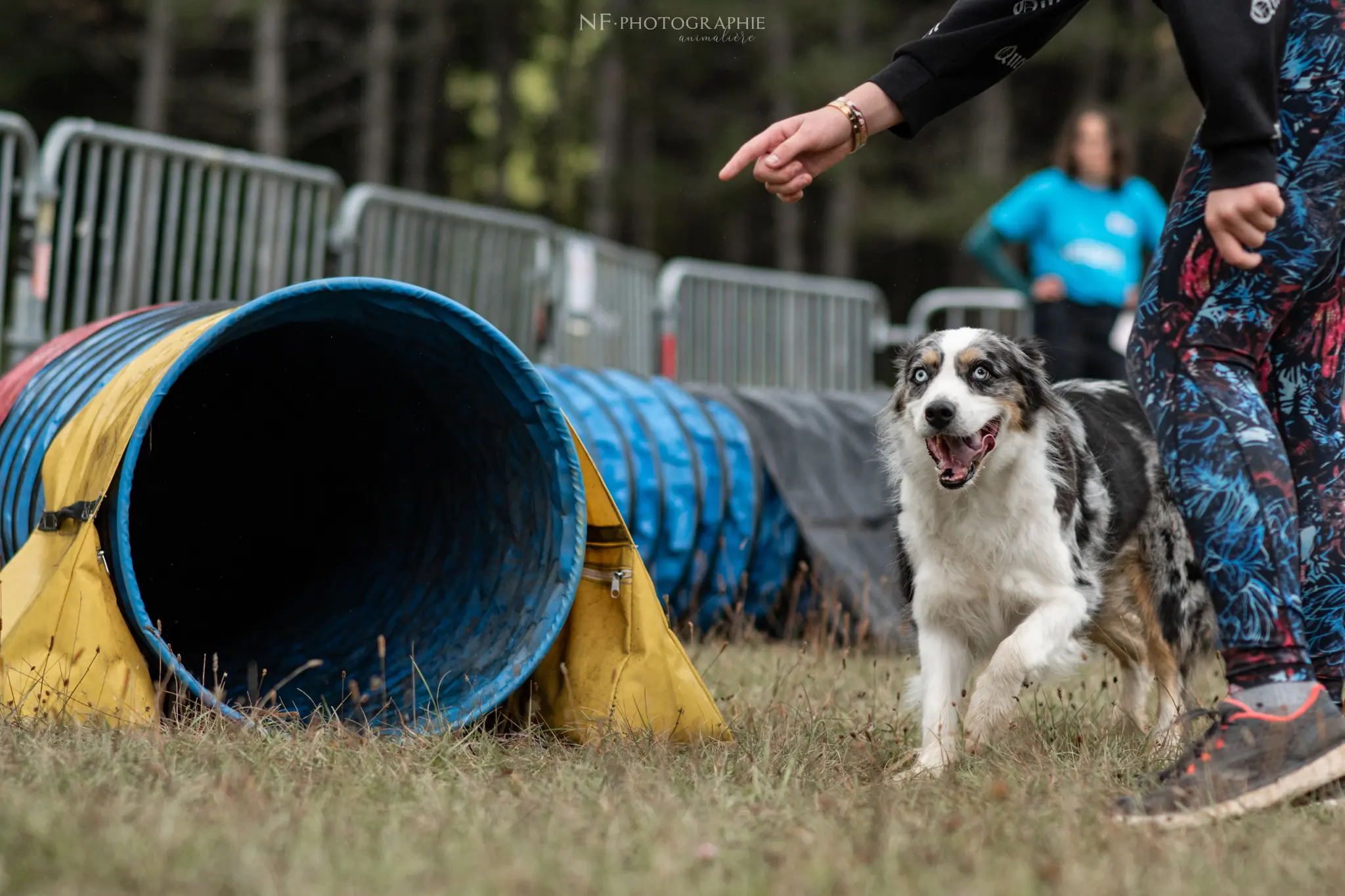 Tunnel-Cup - Édition 2024 - Canifun